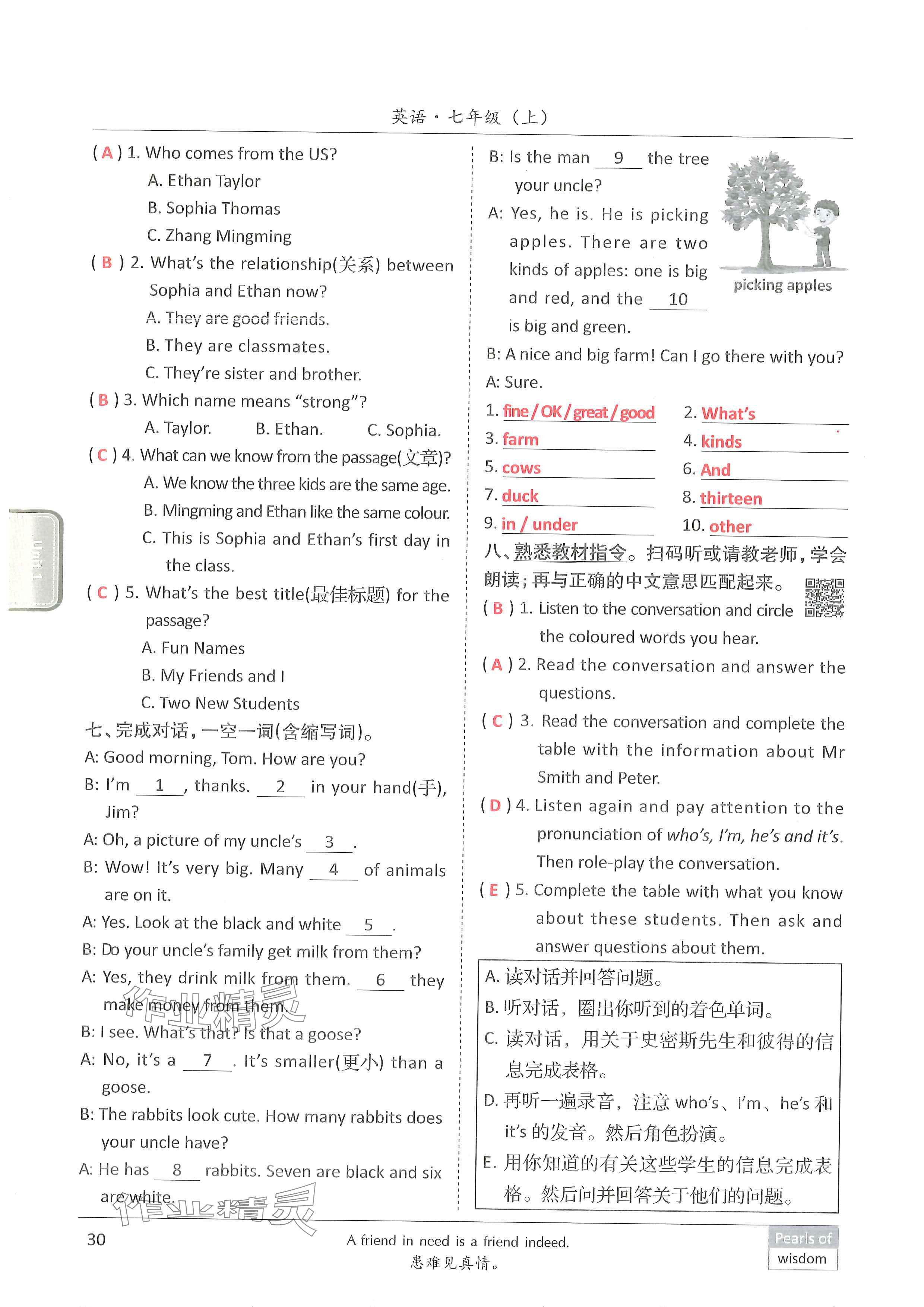 2024年新视界单元复习七年级英语上册人教版&nbsp;参考答案第29页