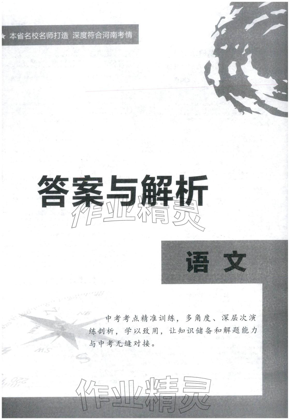 2026年名师解密语文河南专版&nbsp;第1页