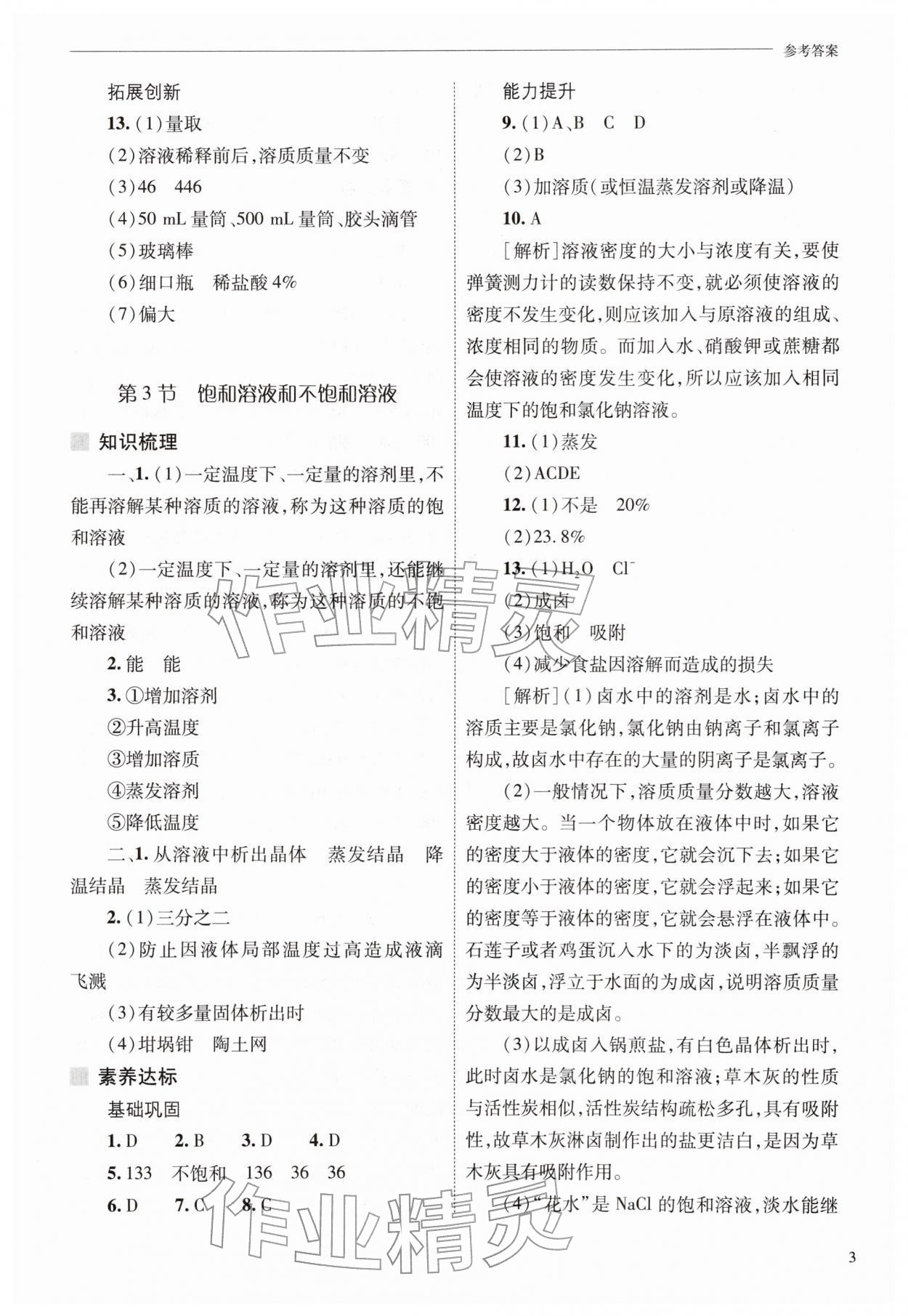 2026年新课程问题解决导学方案九年级化学下册沪教版&nbsp;第3页