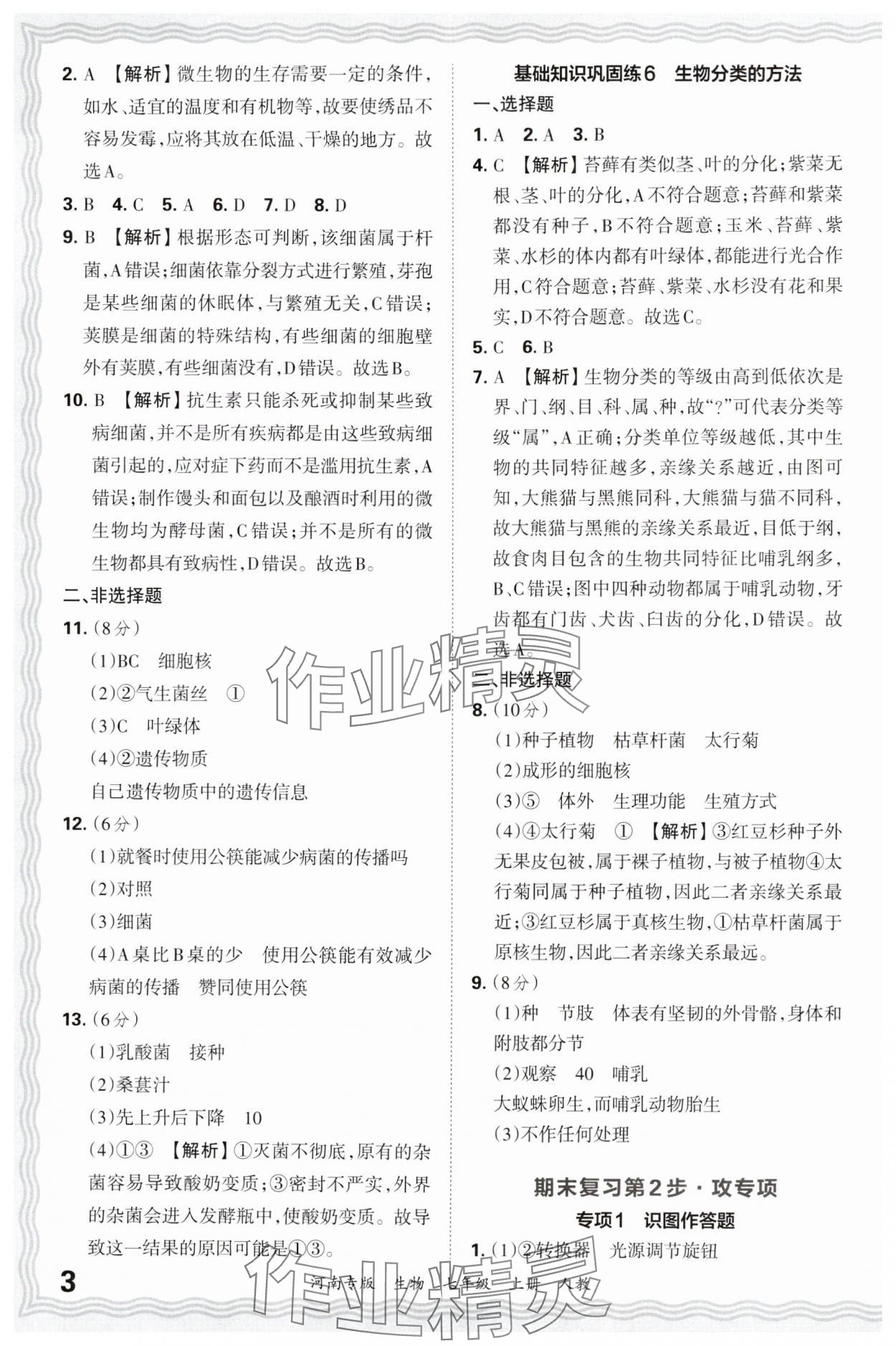 2024年王朝霞各地期末試卷精選七年級生物上冊人教版河南專版 參考答案第3頁