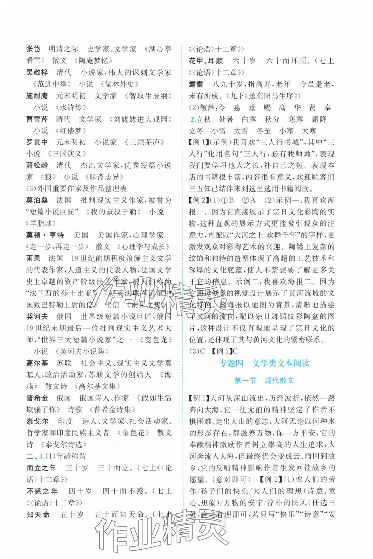 2025年初中學(xué)業(yè)水平考試總復(fù)習(xí)語文 第3頁