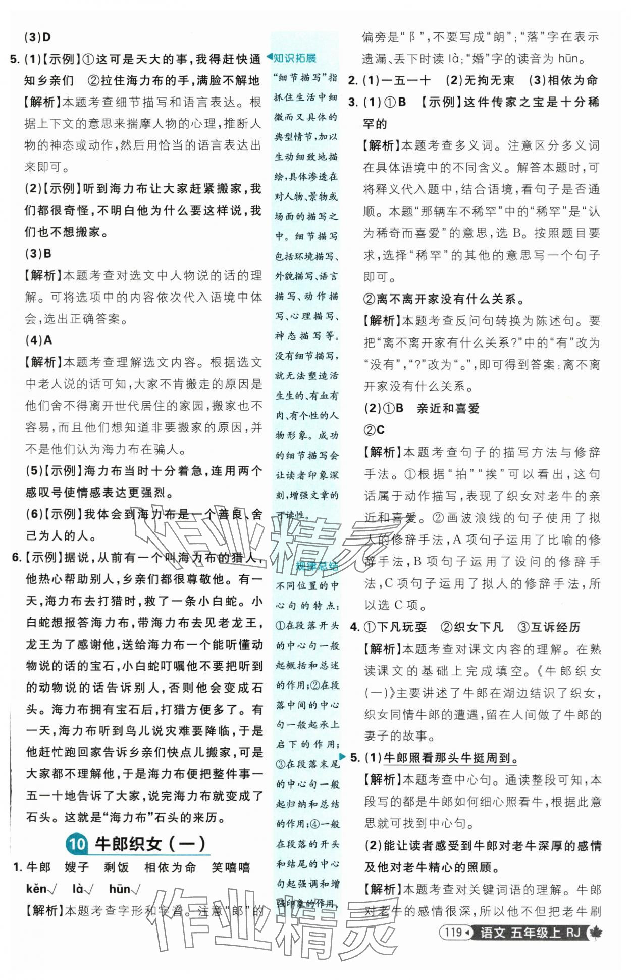 2025年小學(xué)必刷題五年級語文上冊人教版 參考答案第11頁