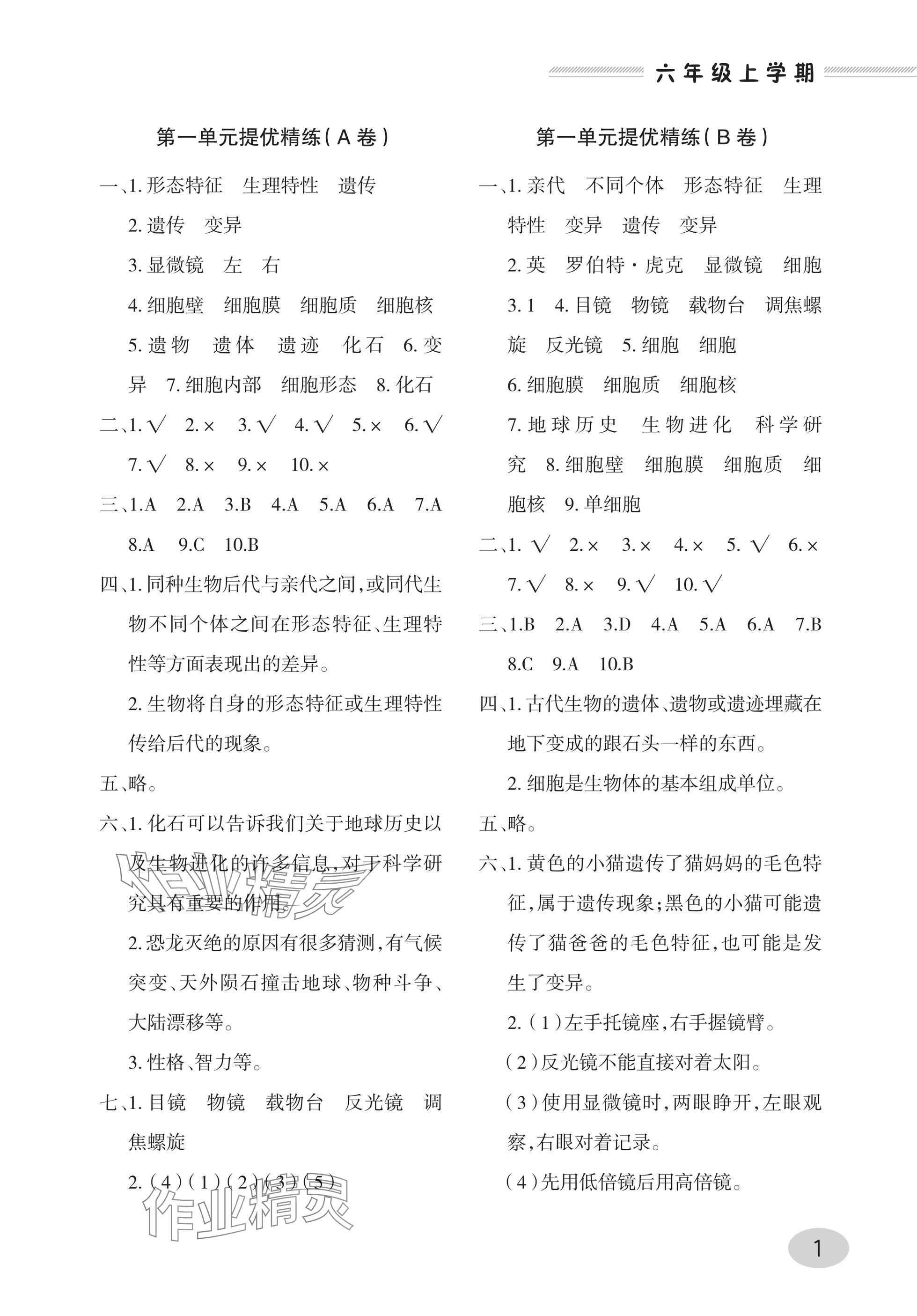 2025年同步练习册青岛出版社六年级科学上册青岛版 参考答案第1页