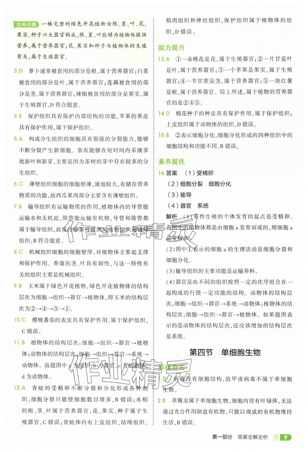 2025年5年中考3年模拟七年级生物上册人教版 参考答案第9页