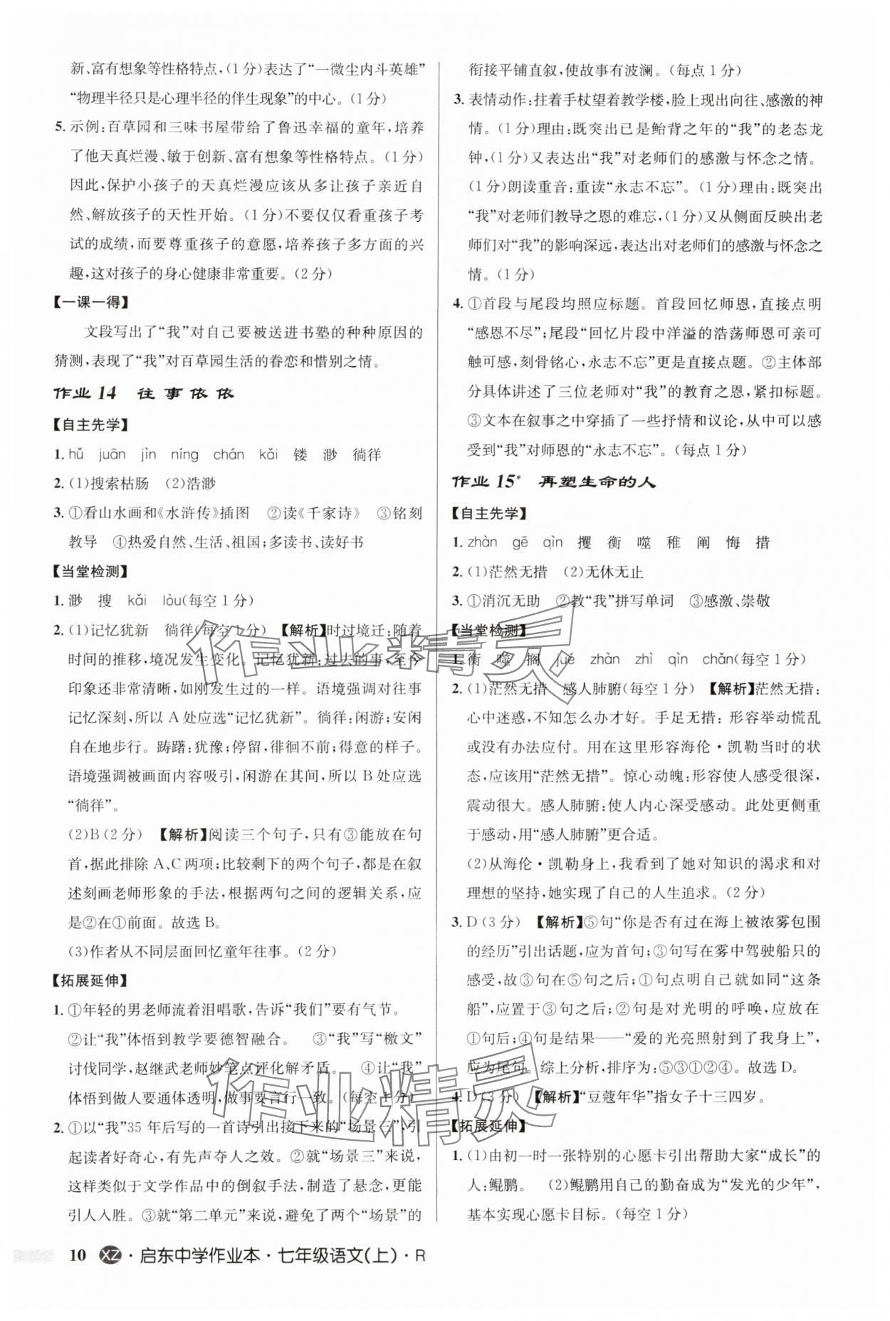 2024年啟東中學作業(yè)本七年級語文上冊人教版徐州專版 第10頁