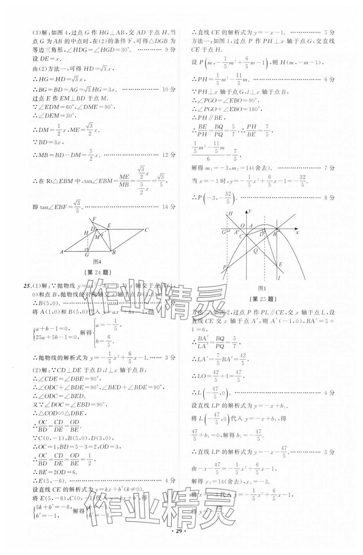 2024年中考必备辽宁师范大学出版社数学辽宁专版 参考答案第29页