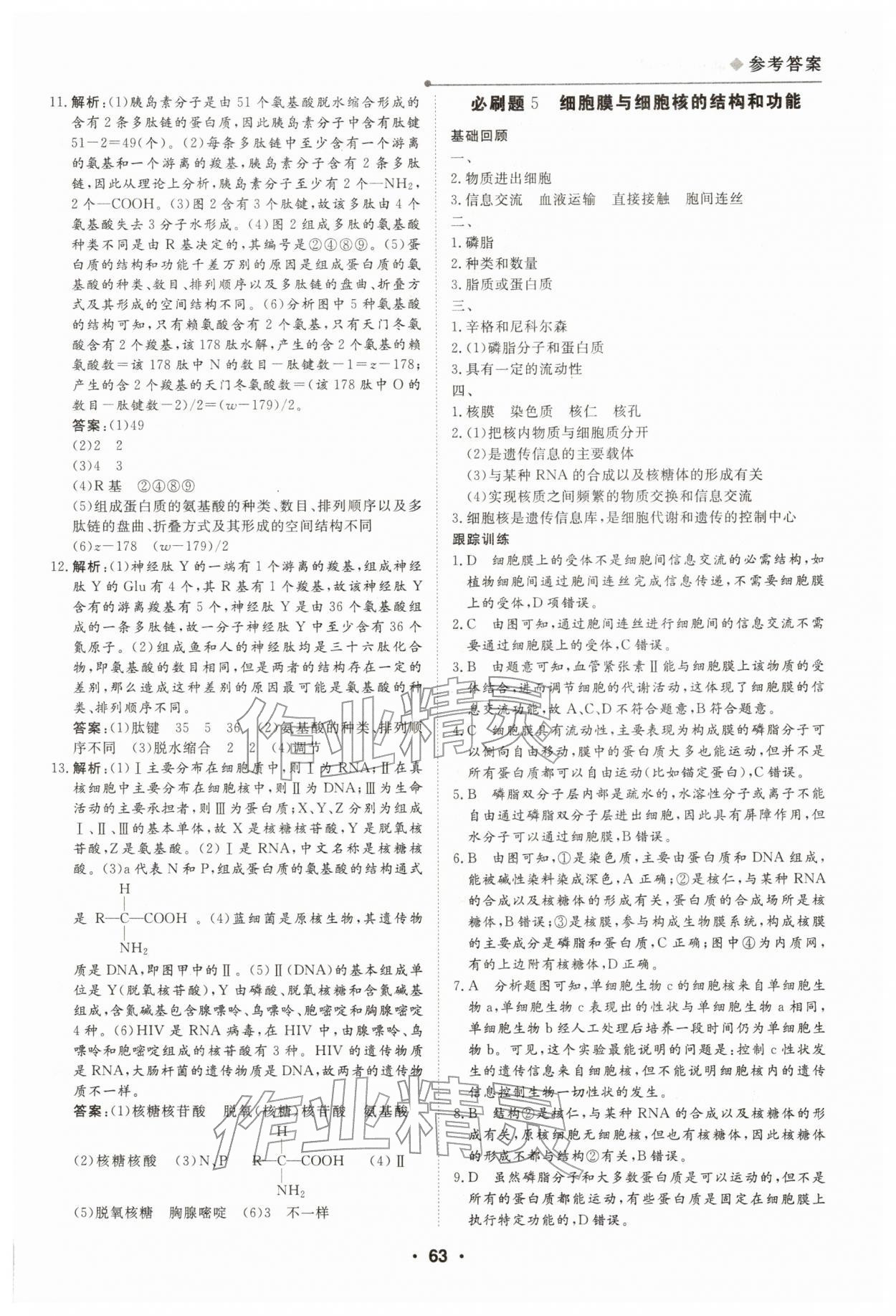 2026年高中假日必刷题高一生物&nbsp;第5页