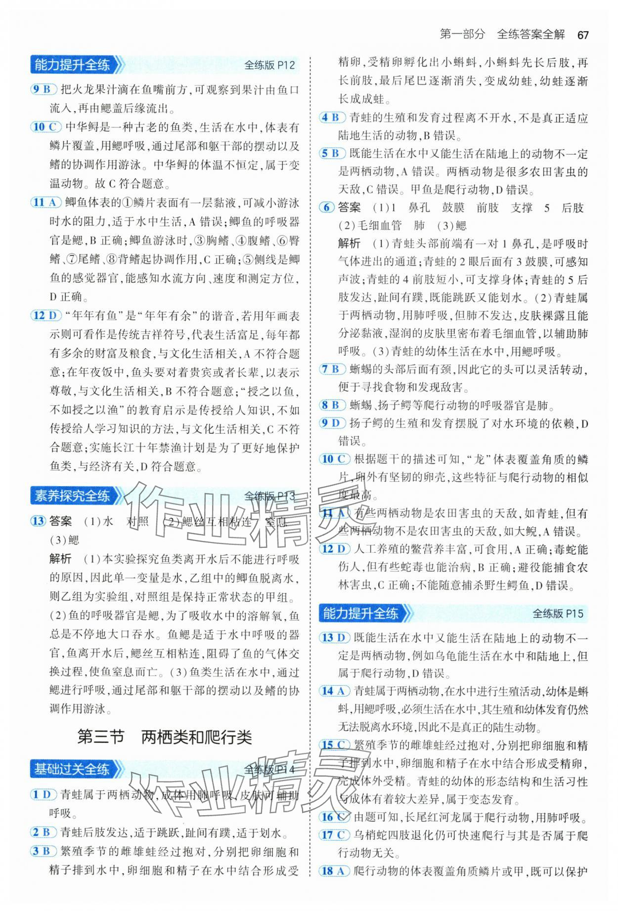 2025年5年中考3年模擬六年級生物下冊魯科版 第5頁