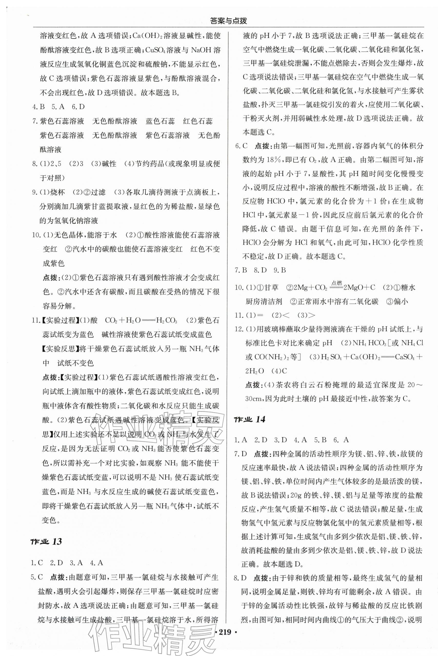 2026年启东中学作业本九年级化学下册沪教版苏北专版 第13页