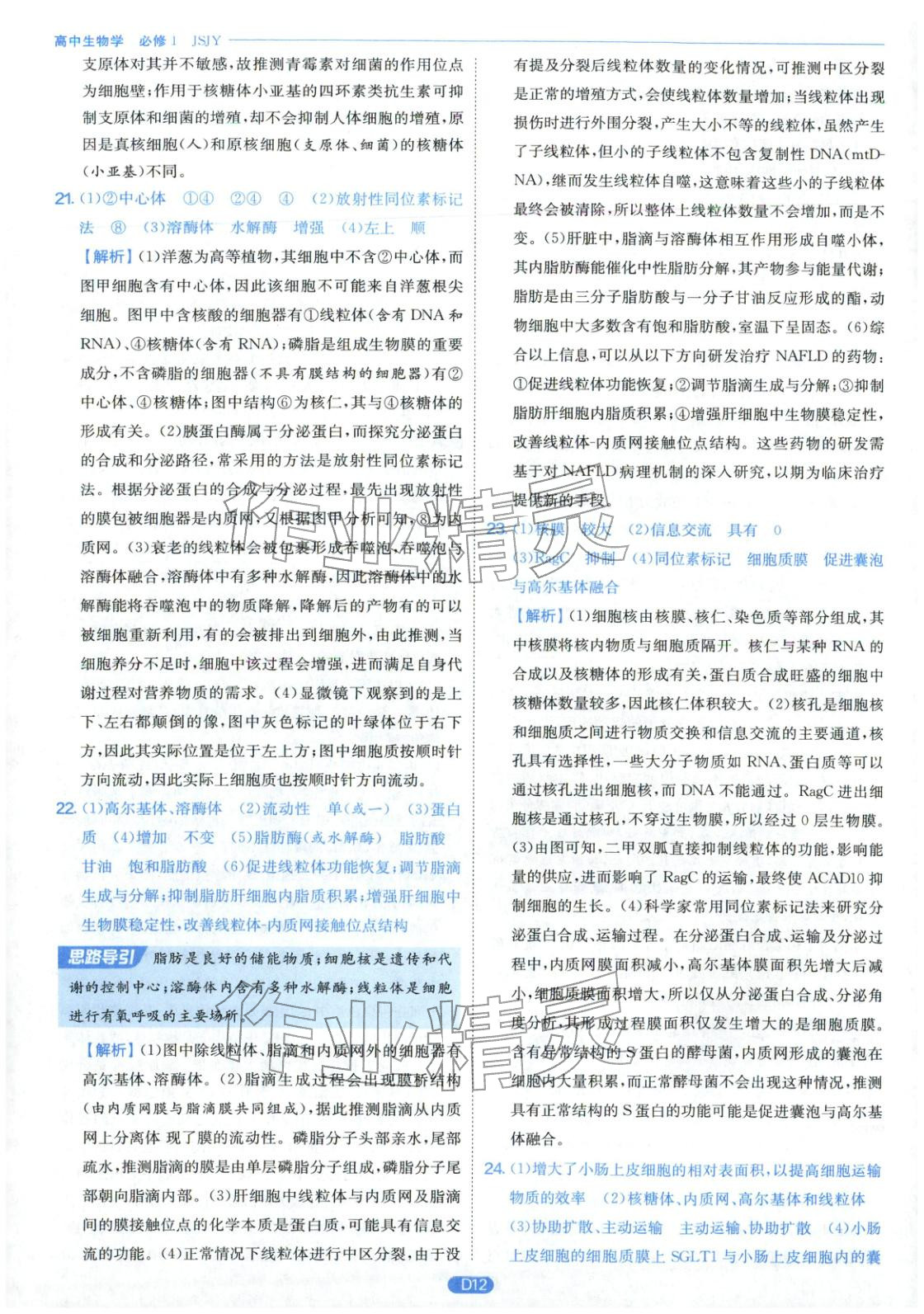 2026年實(shí)驗(yàn)班全優(yōu)檢測卷高中生物必修第一冊蘇教版&nbsp;第12頁