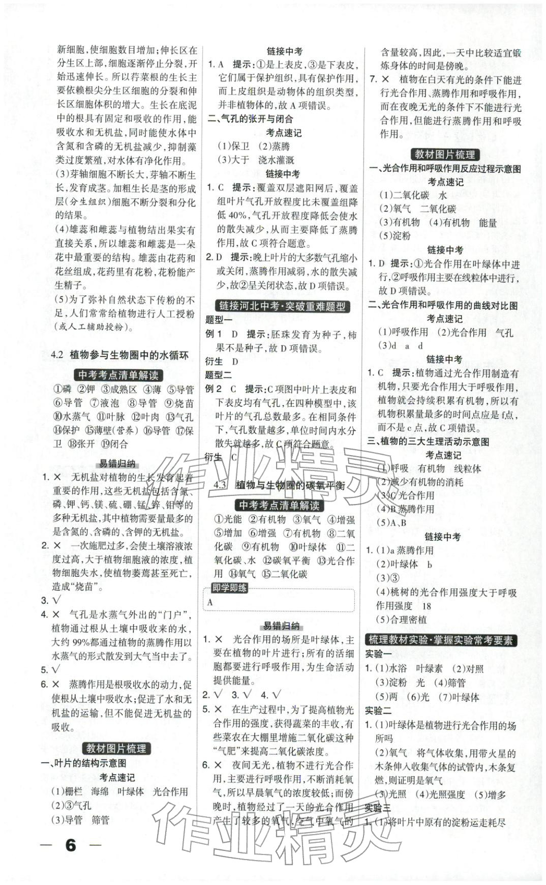 2026年中教万联中考总动员八年级生物河北专版&nbsp;第6页