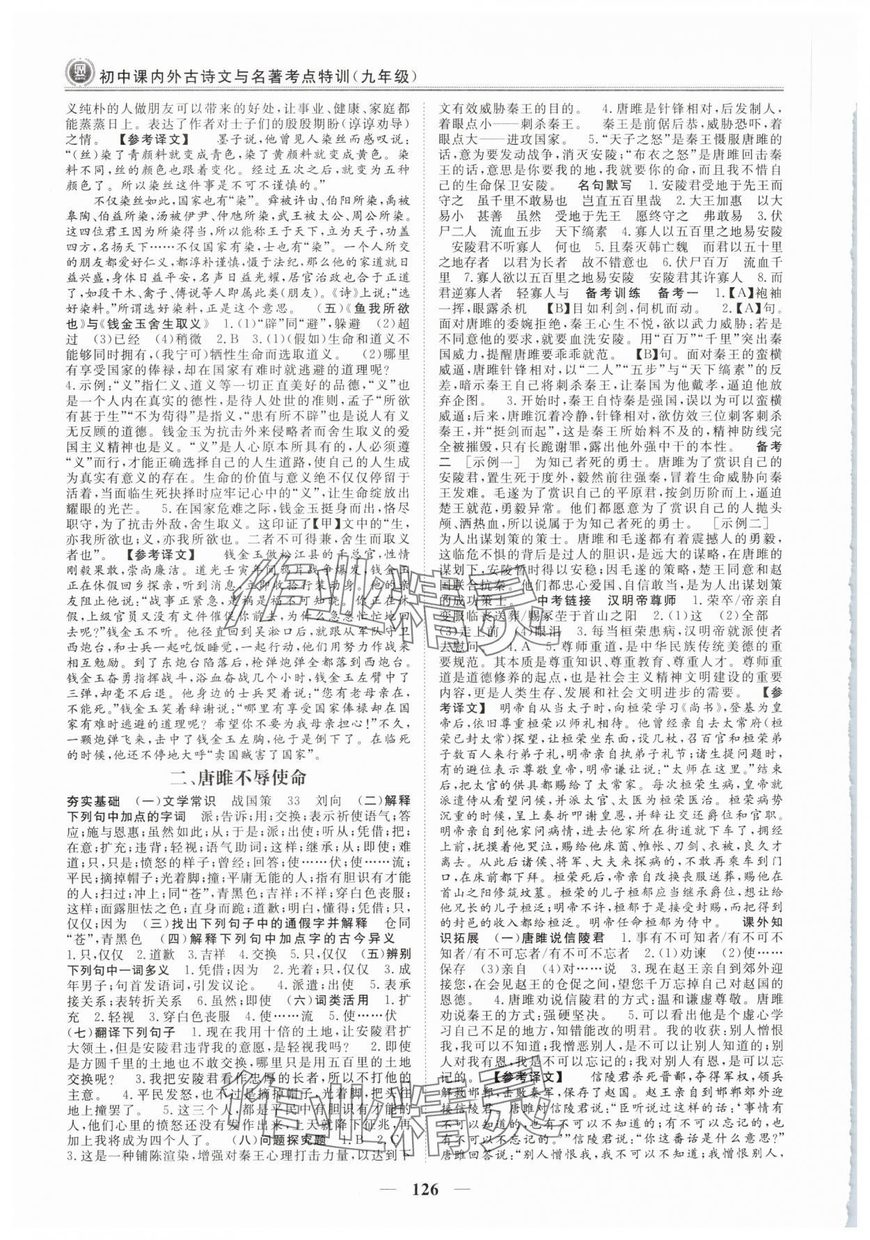 2024年课内外古诗文与名著考点特训九年级语文下册人教版 第2页