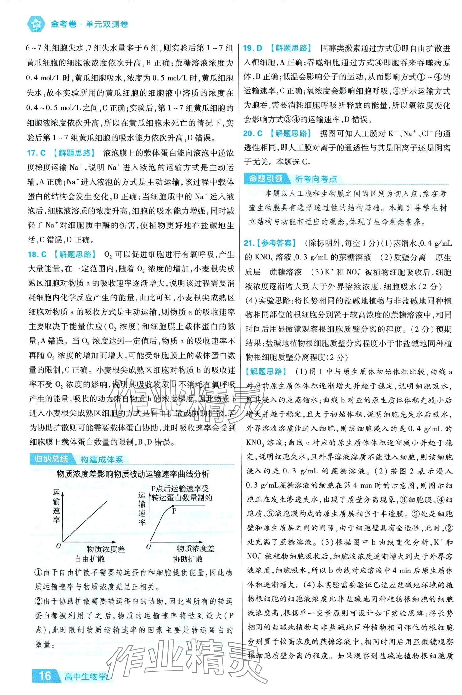 2024年金考卷活頁(yè)題選高中生物必修1人教版 參考答案第16頁(yè)