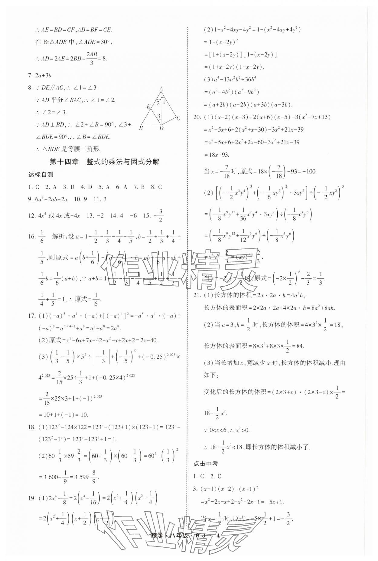 2025年經(jīng)綸學(xué)典寒假總動員八年級數(shù)學(xué)人教版 參考答案第4頁