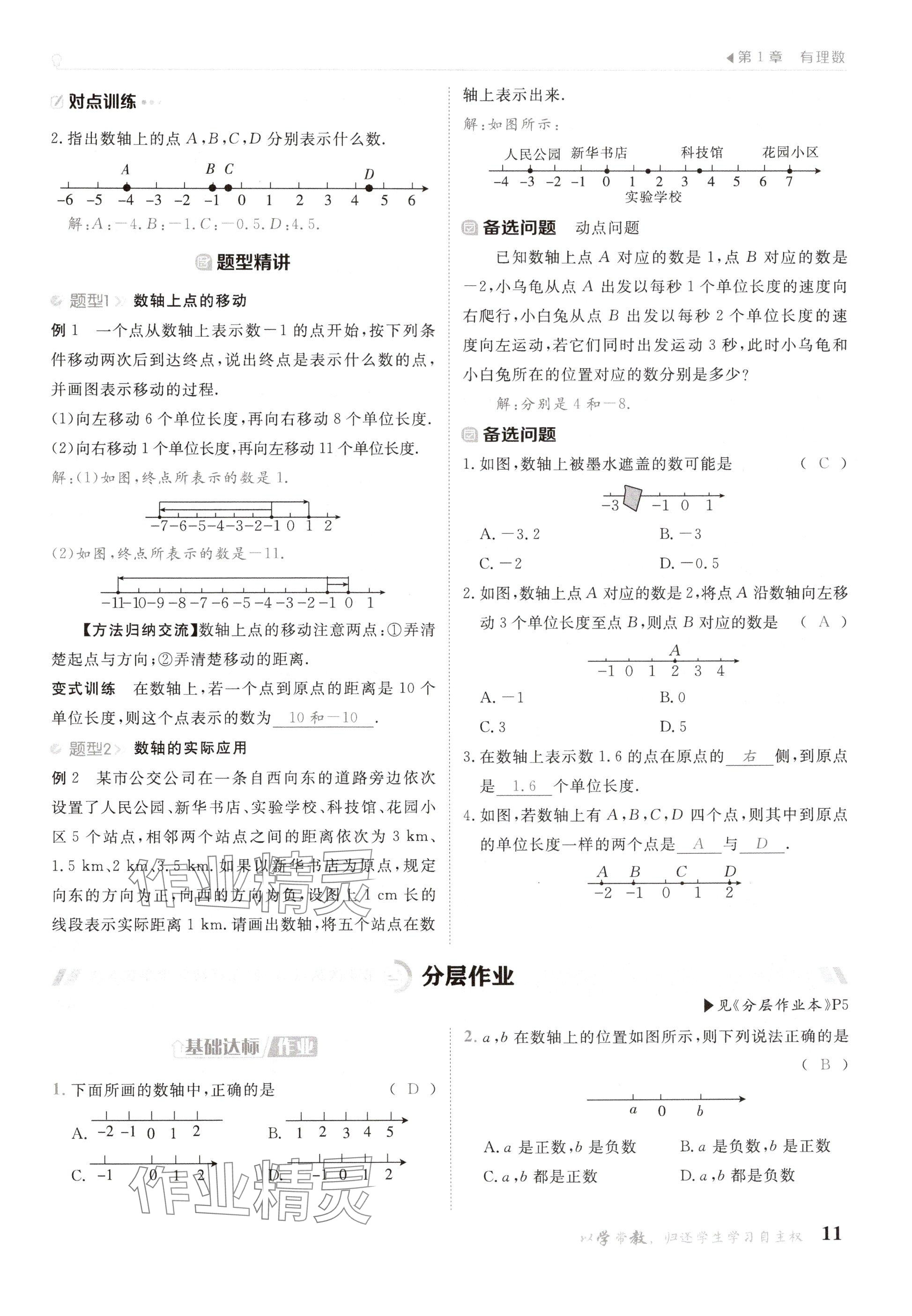 2024年金太阳导学案七年级数学上册华师大版 参考答案第11页