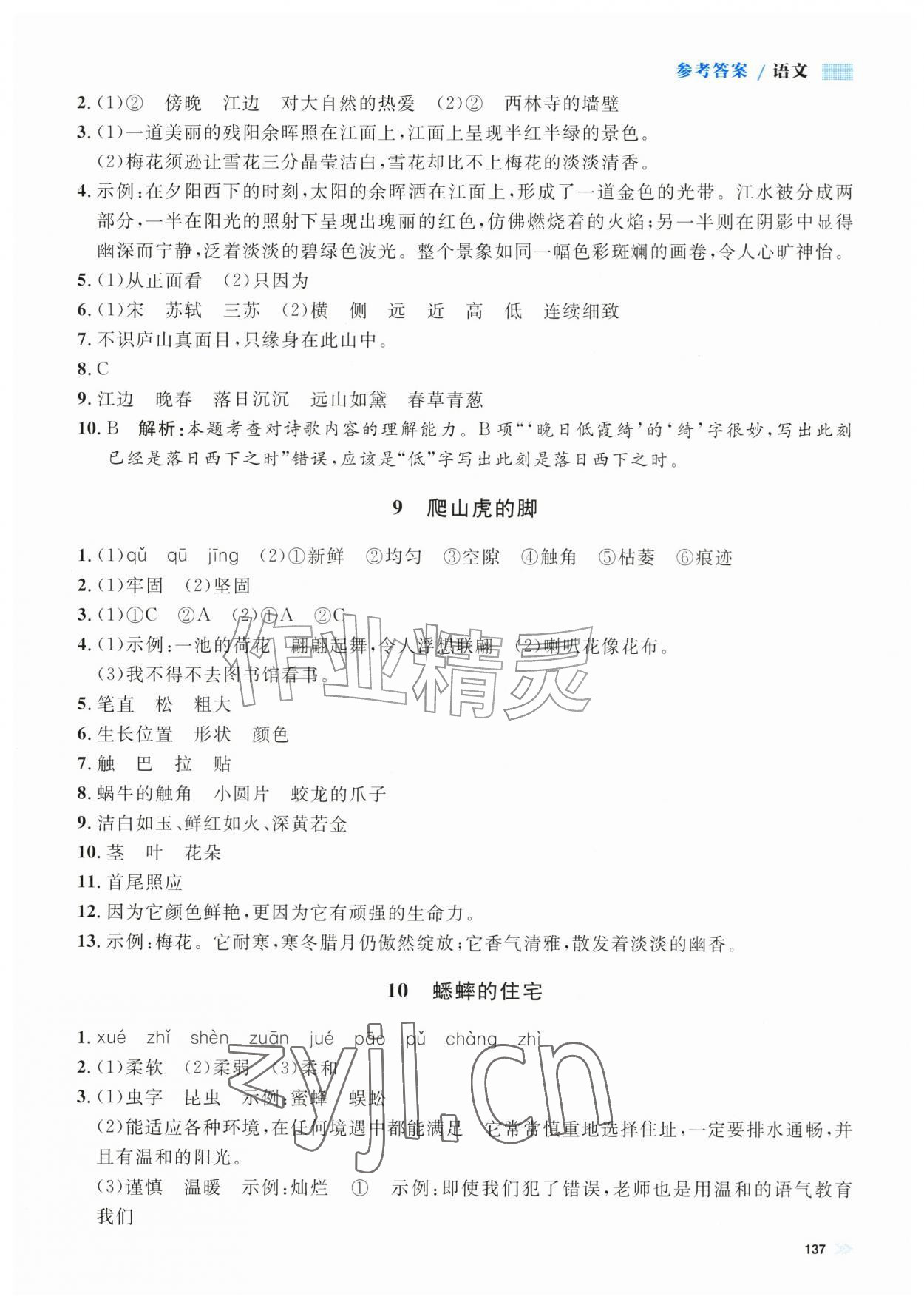 2026年上海作业四年级语文上册人教版五四制&nbsp;第7页