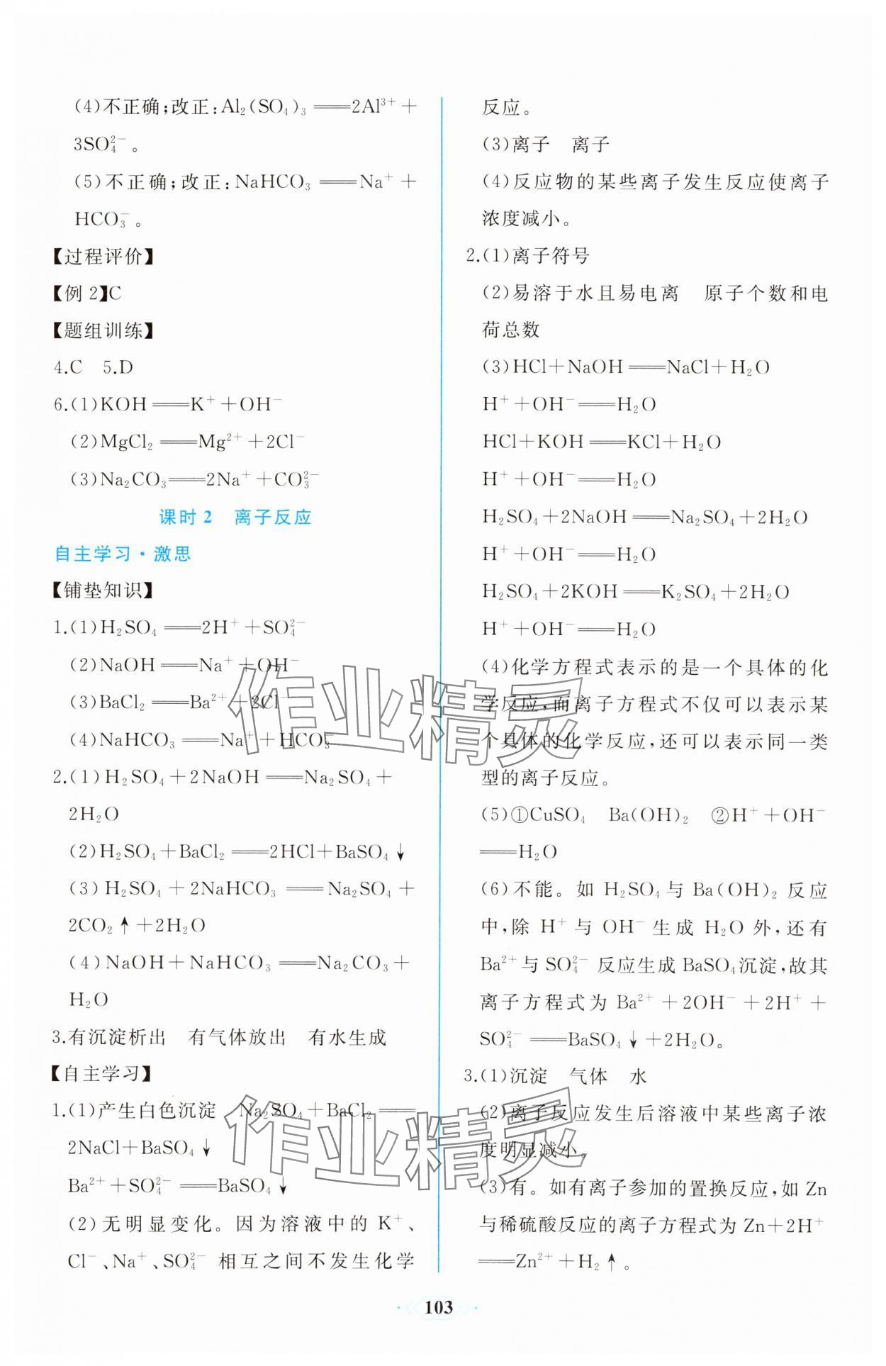 2023年新課程學(xué)習(xí)評(píng)價(jià)方案課時(shí)練高中化學(xué)必修第一冊(cè)人教版 第5頁