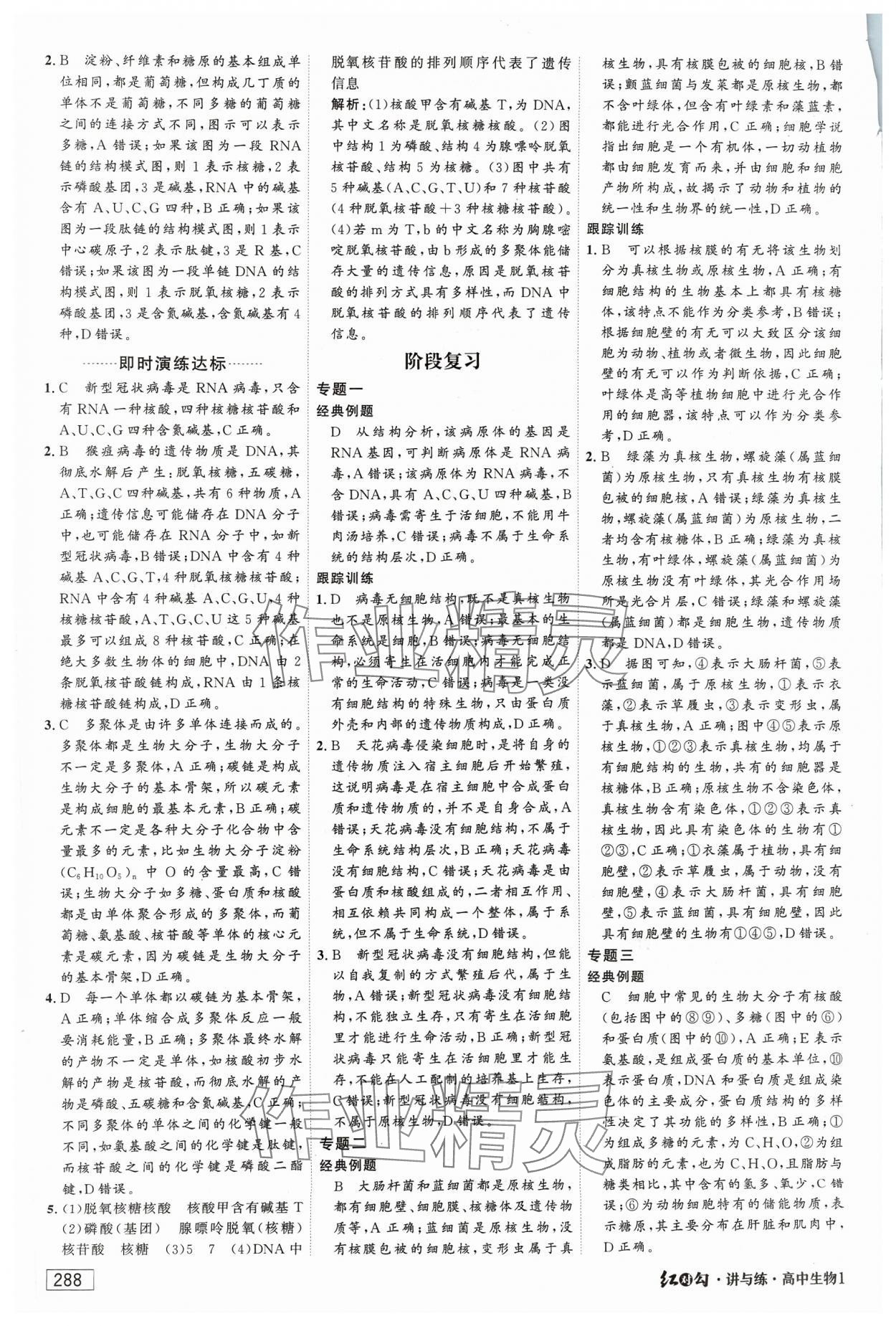 2023年紅對勾講與練高中生物必修1分子與細胞人教版 參考答案第10頁