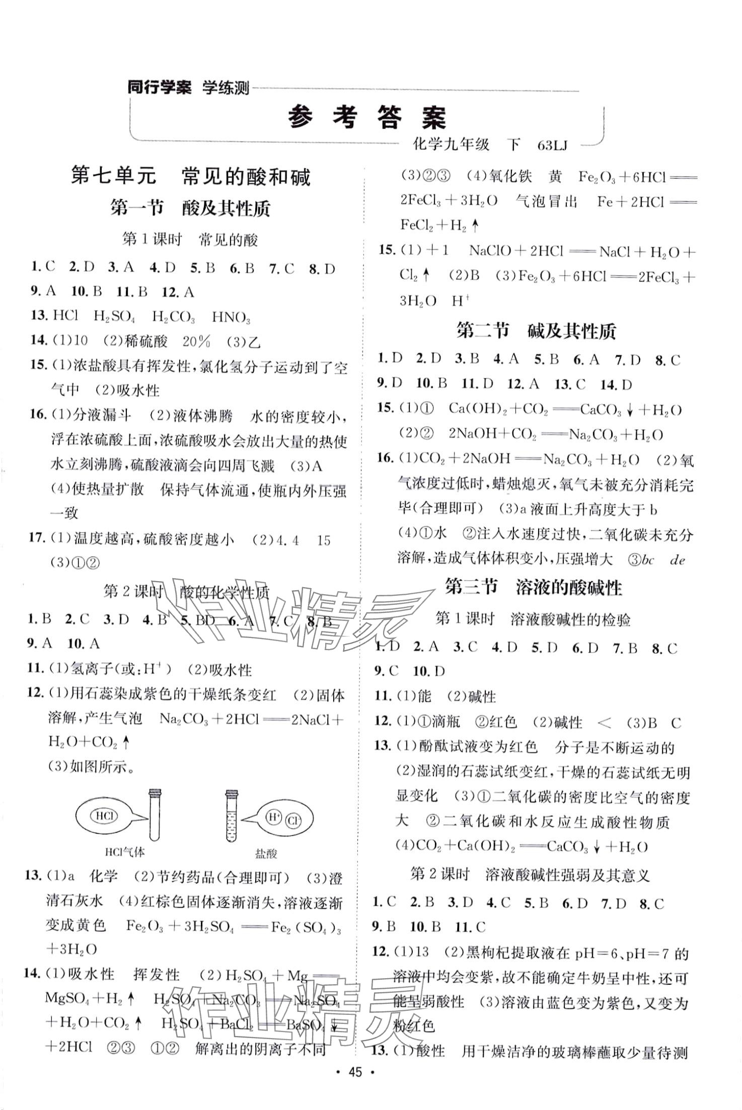 2024年同行学案九年级化学下册鲁教版 第1页