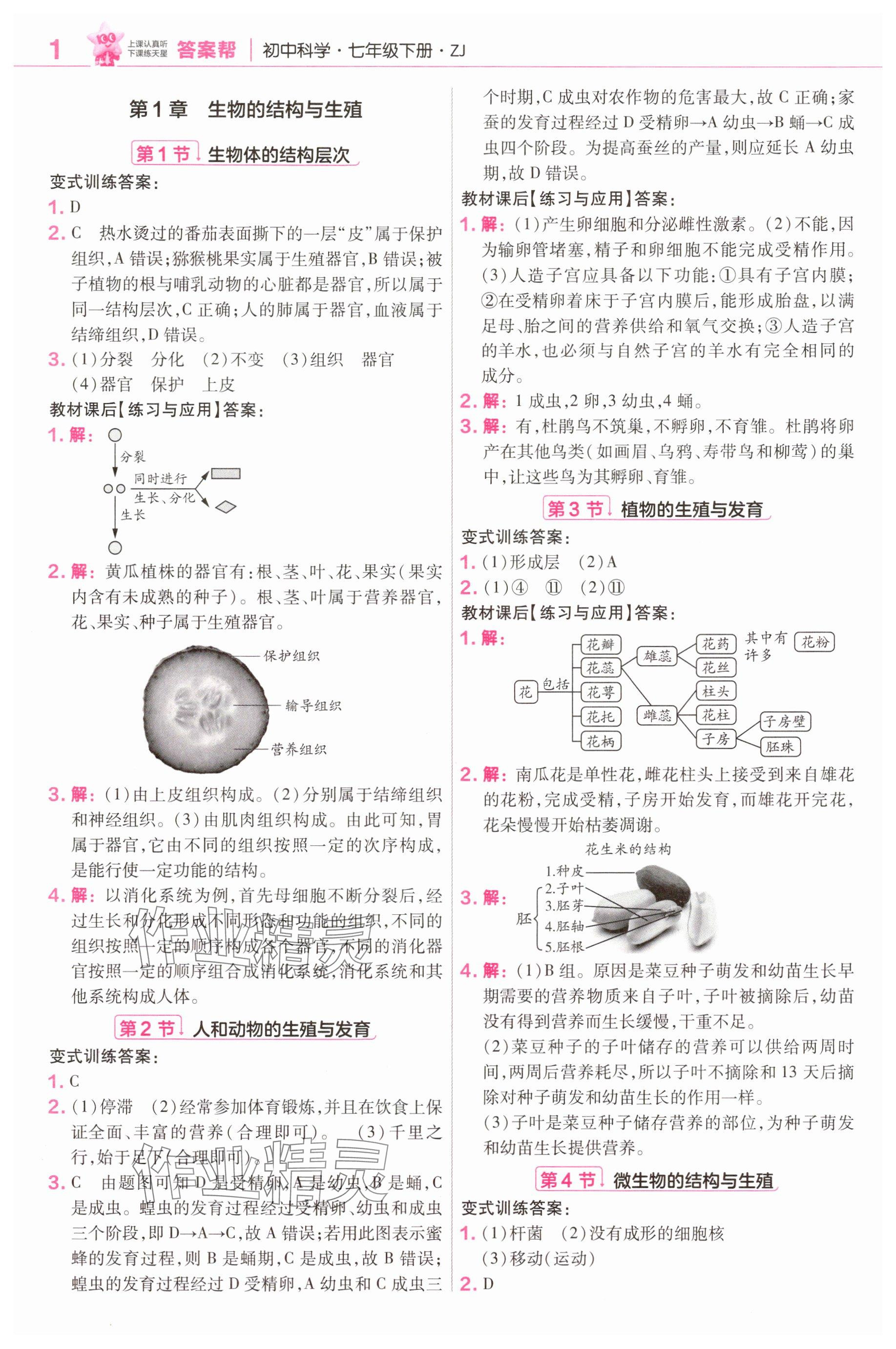 2025年教材课本七年级科学下册浙教版 参考答案第1页