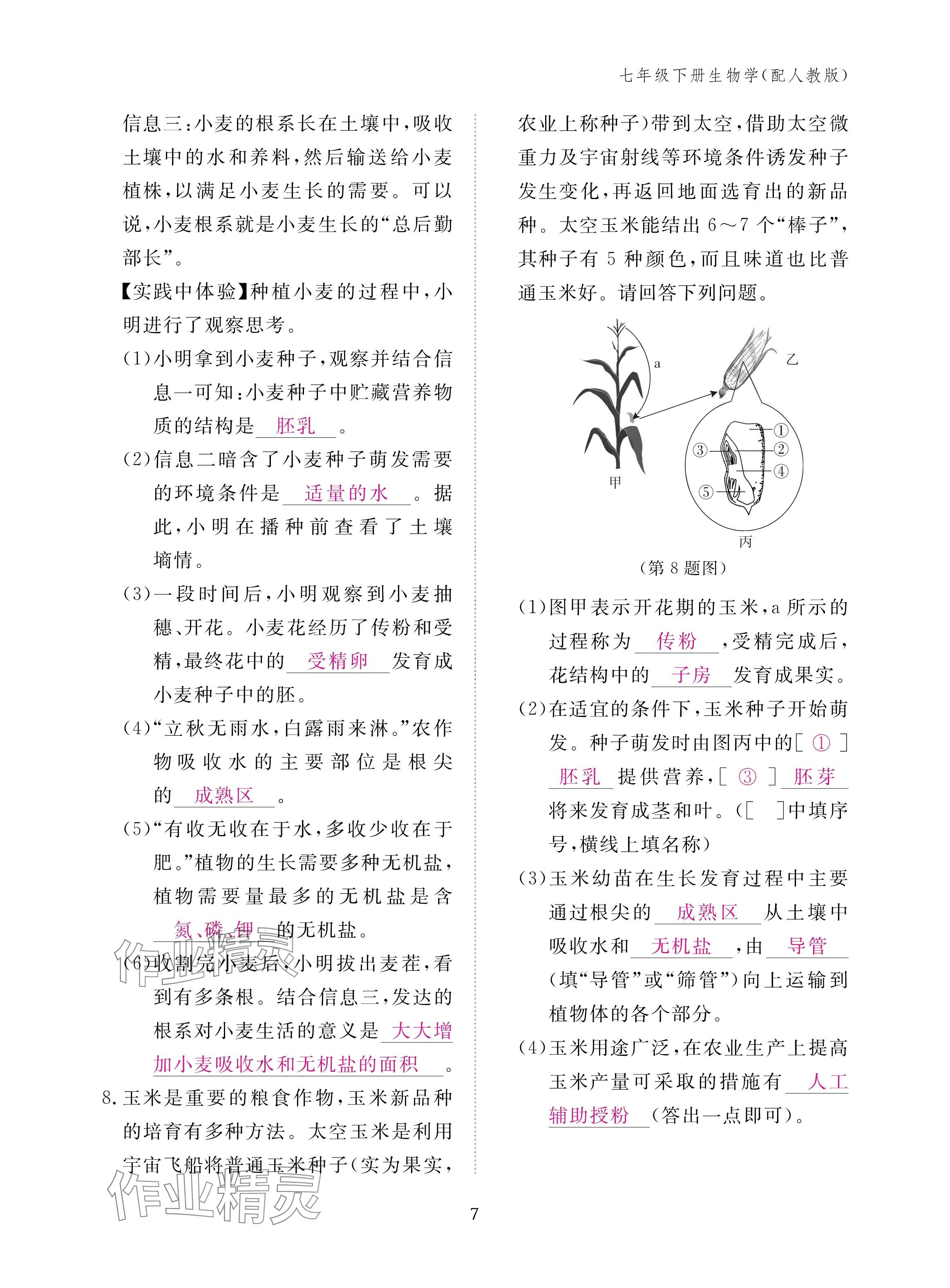 2025年作業本江西教育出版社七年級生物下冊人教版&nbsp;參考答案第7頁