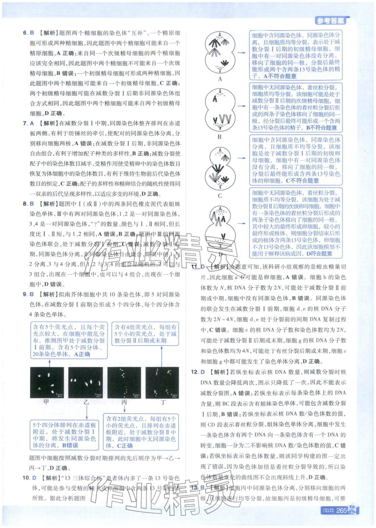 2025年教材帮高中生物必修第二册人教版&nbsp;第13页
