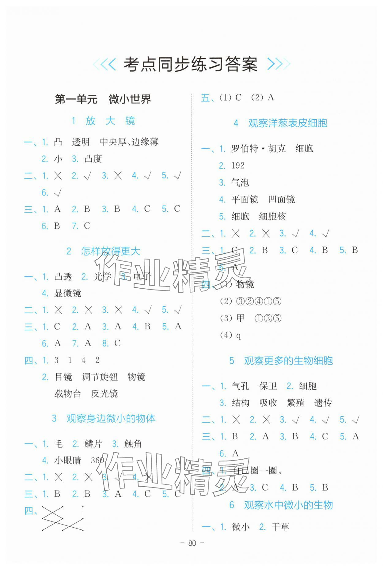 2024年全易通六年級(jí)科學(xué)上冊(cè)教科版浙江專版 參考答案第1頁(yè)