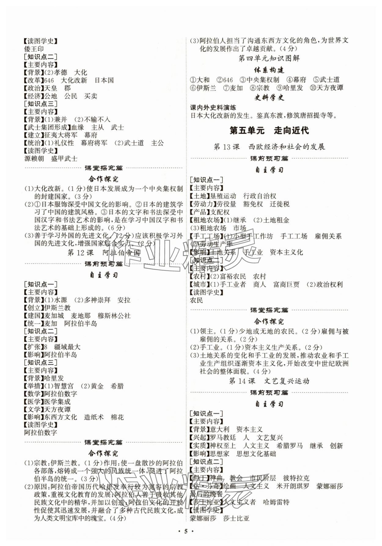 2025年精准同步九年级历史全一册人教版广州专版&nbsp;第5页