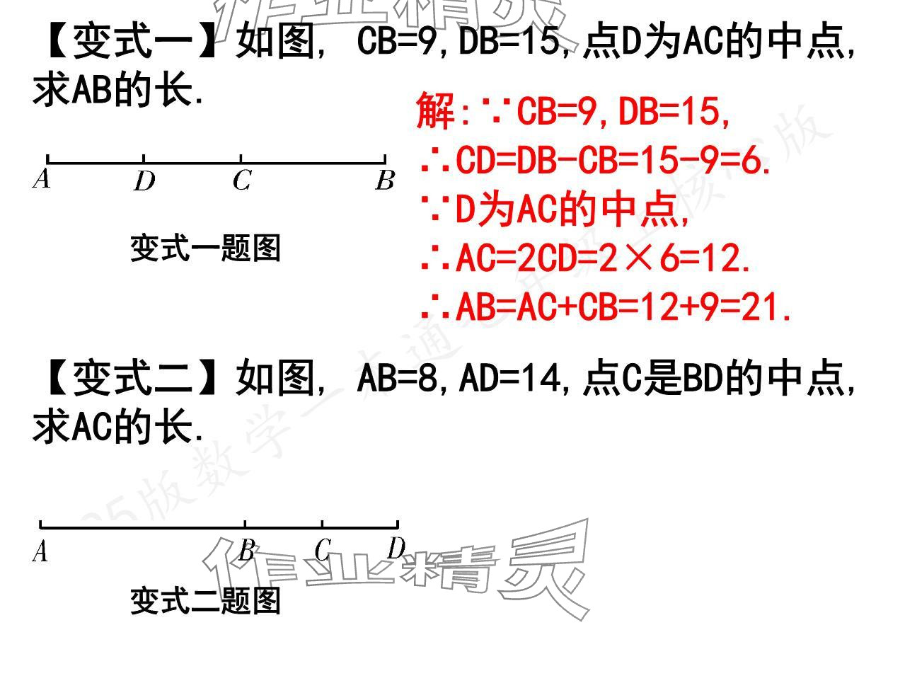 2024年一本通武漢出版社七年級(jí)數(shù)學(xué)上冊(cè)北師大版核心板 參考答案第31頁(yè)