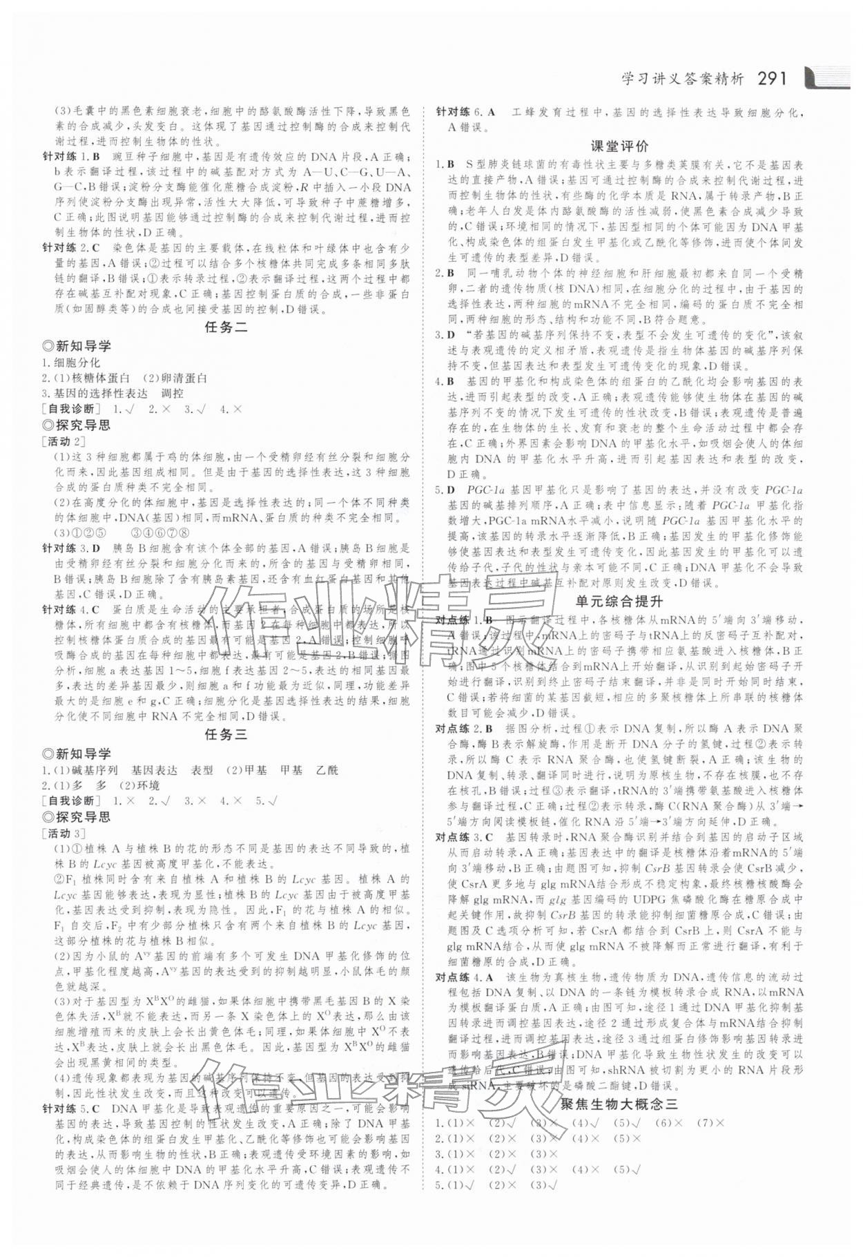 2025年金版新学案高中生物必修第二册人教版 参考答案第14页