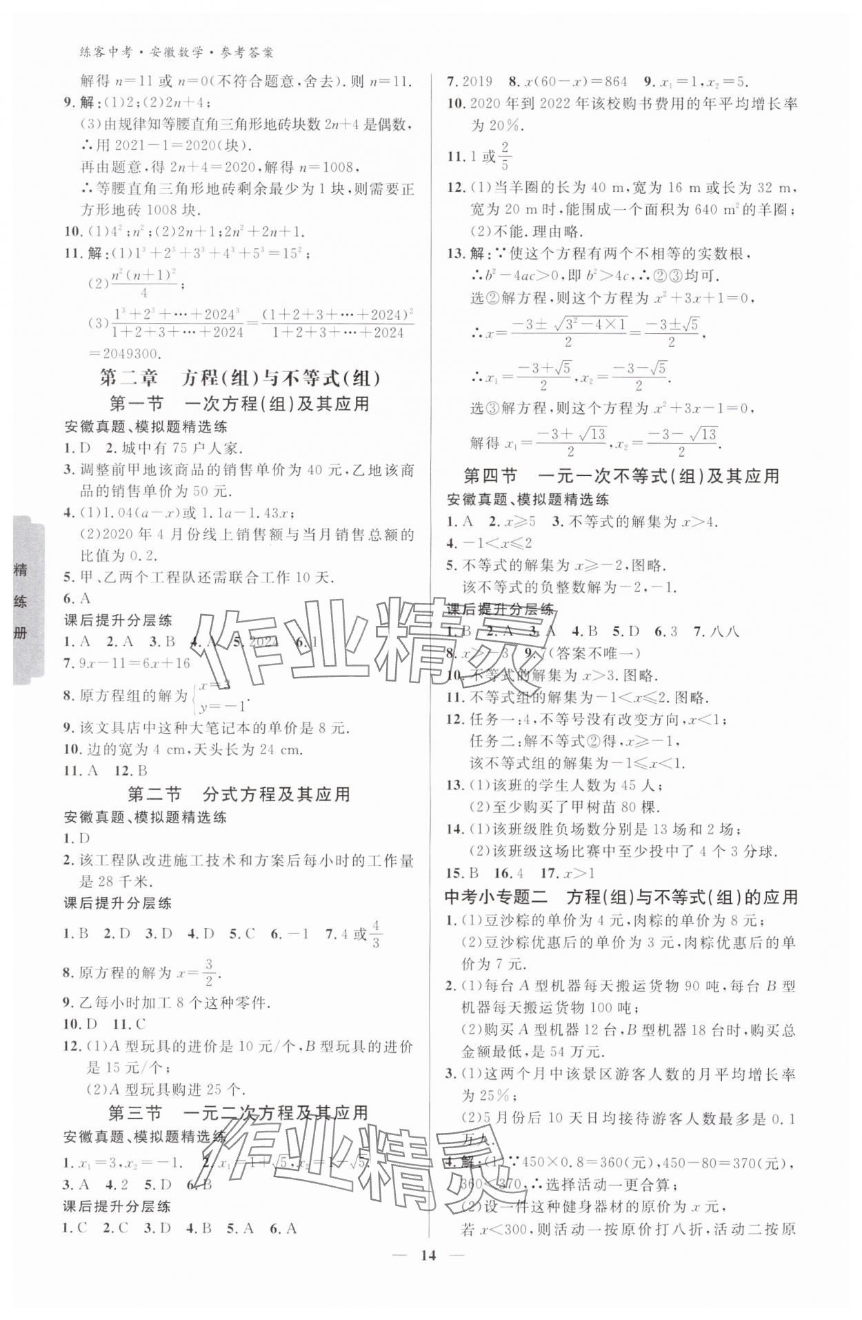 2024年練客中考提優(yōu)方案數(shù)學(xué)安徽專版 參考答案第13頁