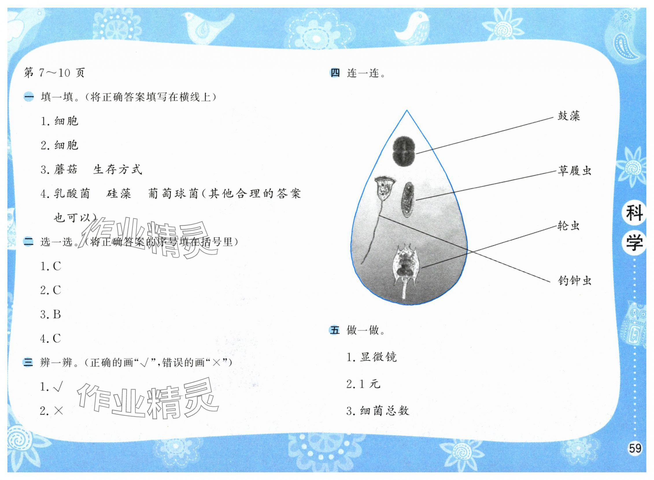 2025年暑假作業(yè)五年級科學(xué)蘇教版安徽少年兒童出版社 第3頁