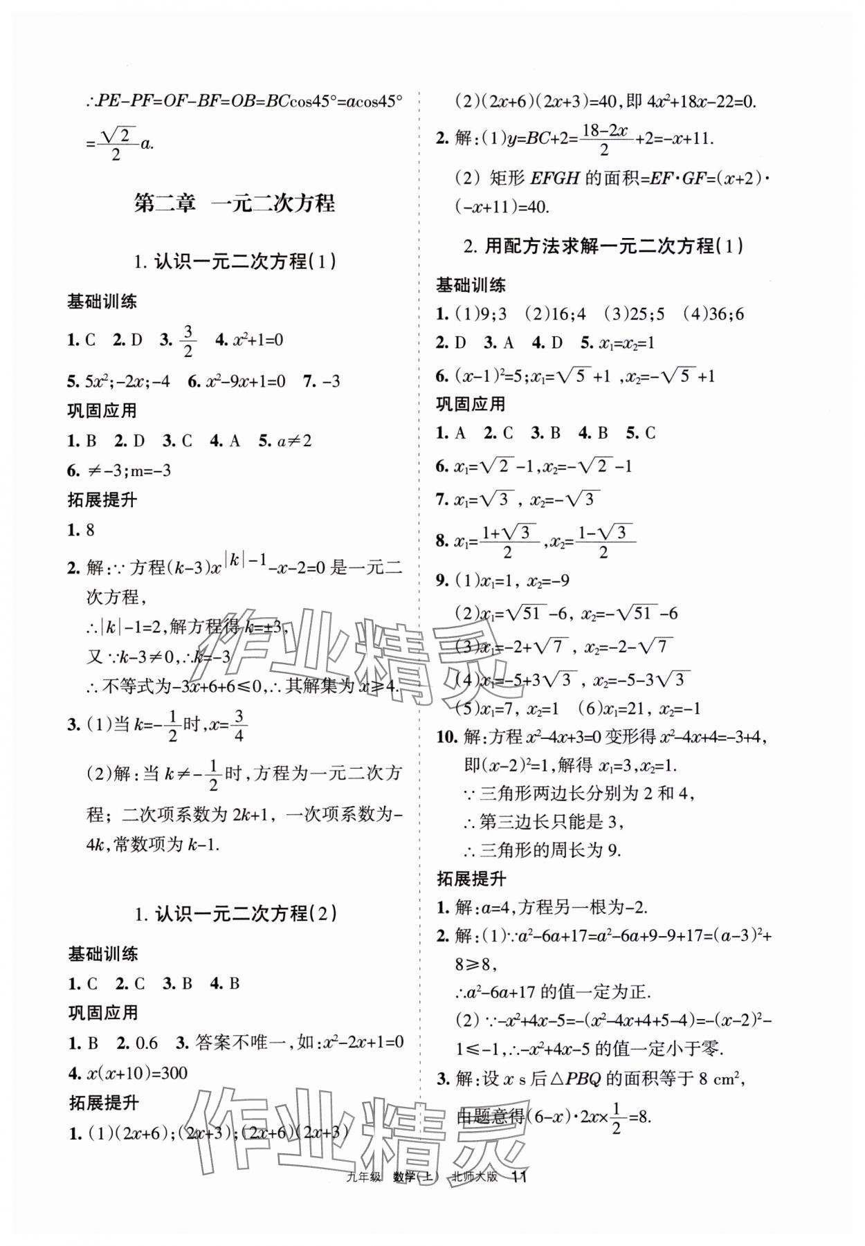 2023年學習之友九年級數學上冊北師大版 參考答案第11頁