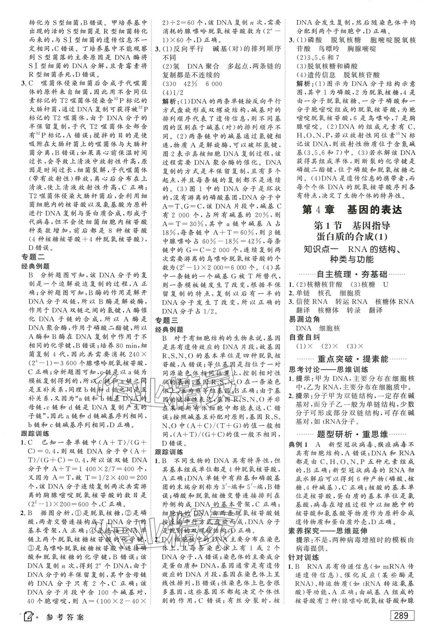 2024年紅對(duì)勾講與練高中生物必修2人教版 第19頁(yè)