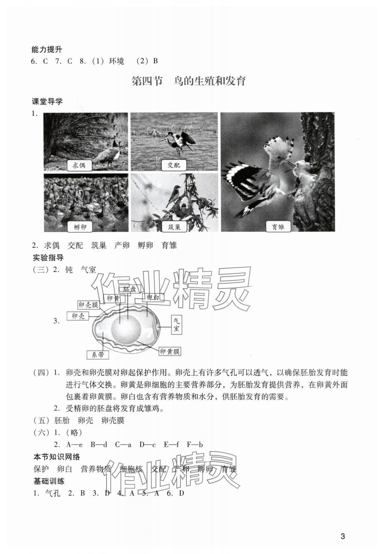 2024年陽光學(xué)業(yè)評價八年級生物下冊人教版 參考答案第3頁