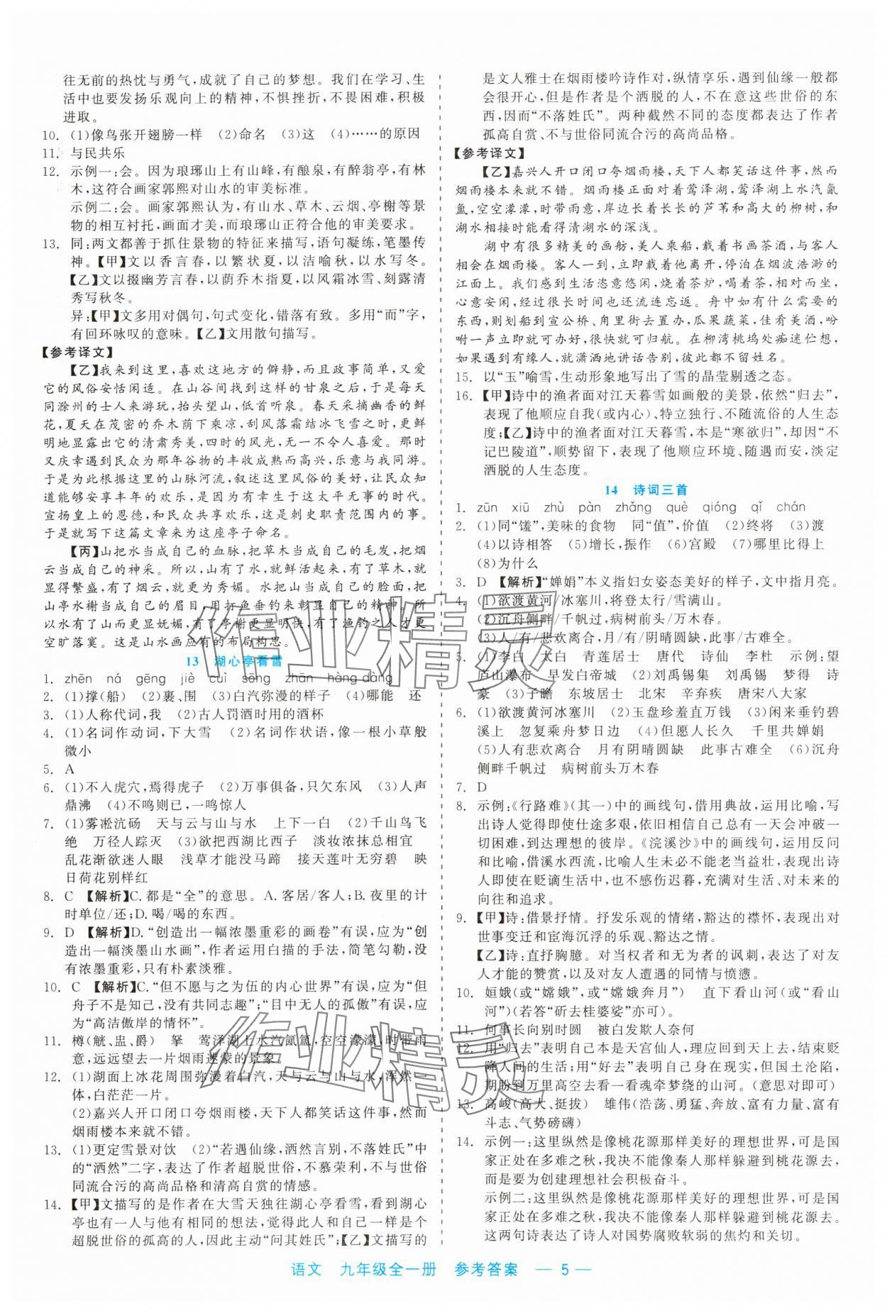 2023年精彩練習(xí)就練這一本九年級(jí)語(yǔ)文全一冊(cè)人教版 第5頁(yè)