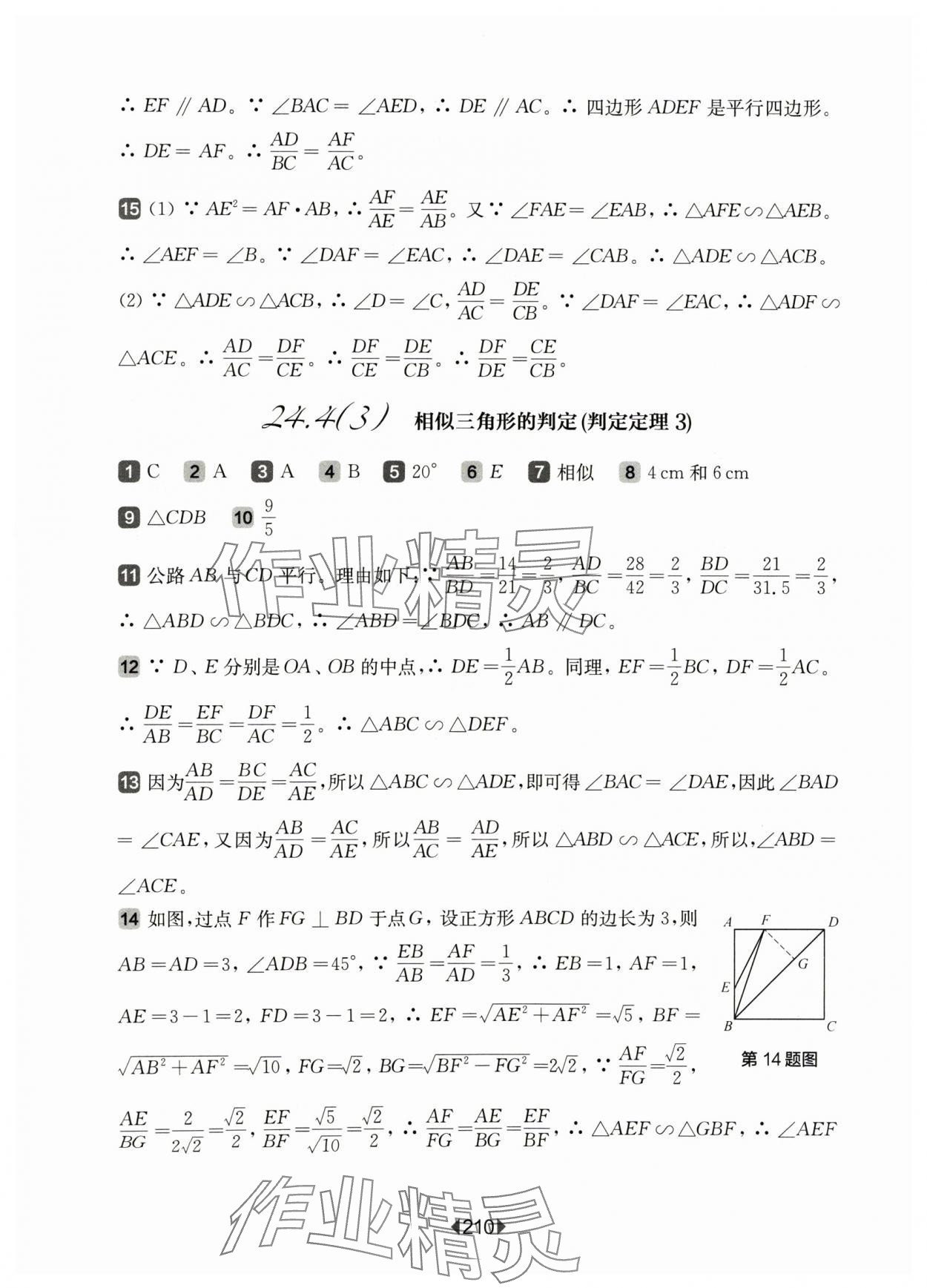 2024年華東師大版一課一練九年級(jí)數(shù)學(xué)全一冊(cè)滬教版54制 參考答案第6頁