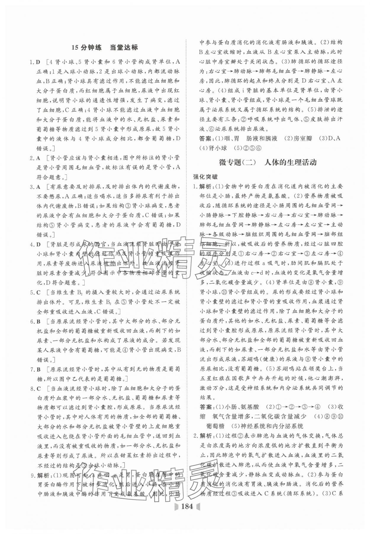 2025年初中總復(fù)習(xí)山東教育出版社生物中考濟(jì)南版 參考答案第20頁