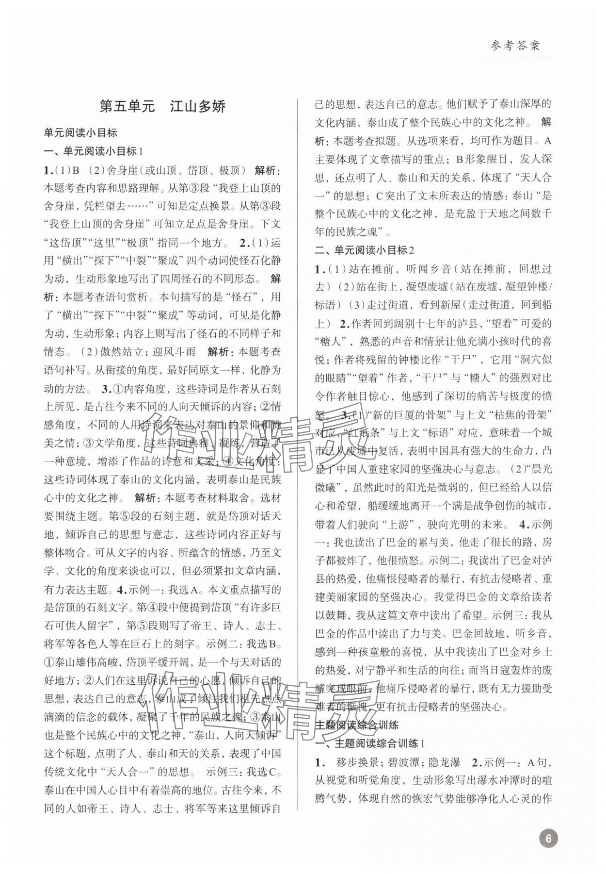 2025年初中語文大閱讀高效訓(xùn)練八年級下冊 參考答案第6頁