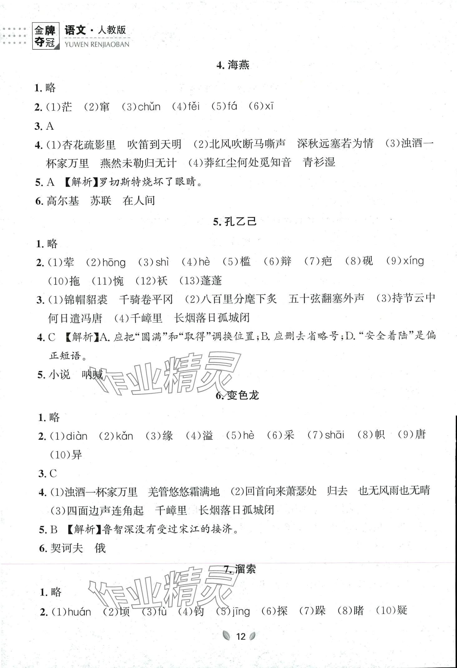 2023年點石成金金牌奪冠九年級語文全一冊人教版遼寧專版 第12頁