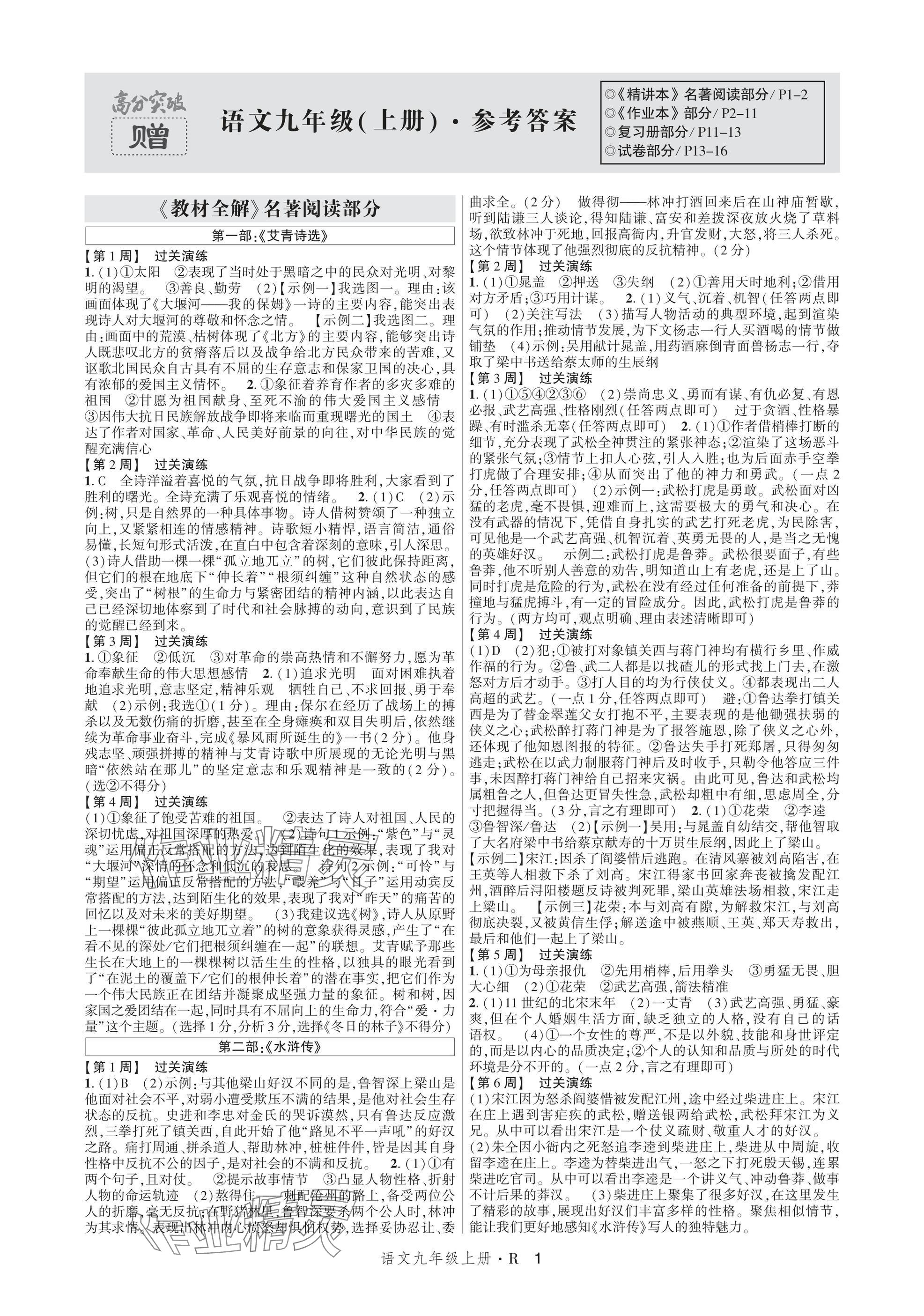 2025年高分突破課時達(dá)標(biāo)講練測九年級語文上冊人教版 參考答案第1頁