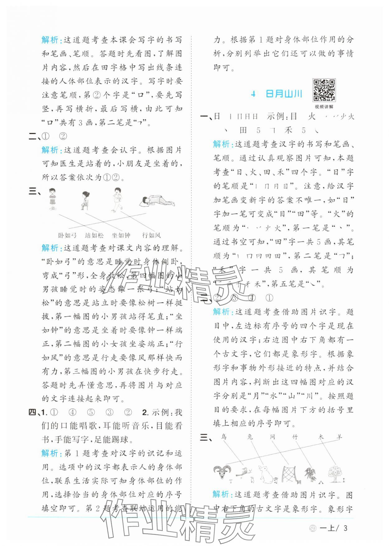 2024年陽光同學課時優(yōu)化作業(yè)一年級語文上冊人教版菏澤專版 參考答案第3頁