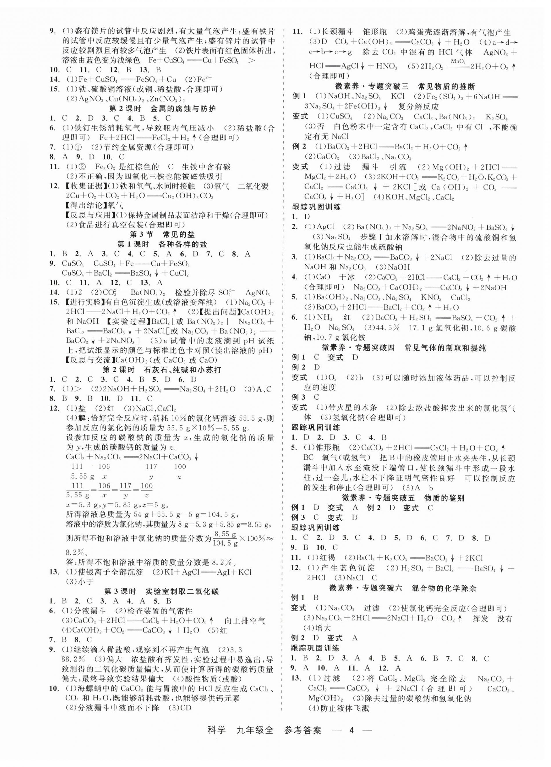 2025年精彩練習就練這一本九年級科學全一冊華師大版&nbsp;第4頁