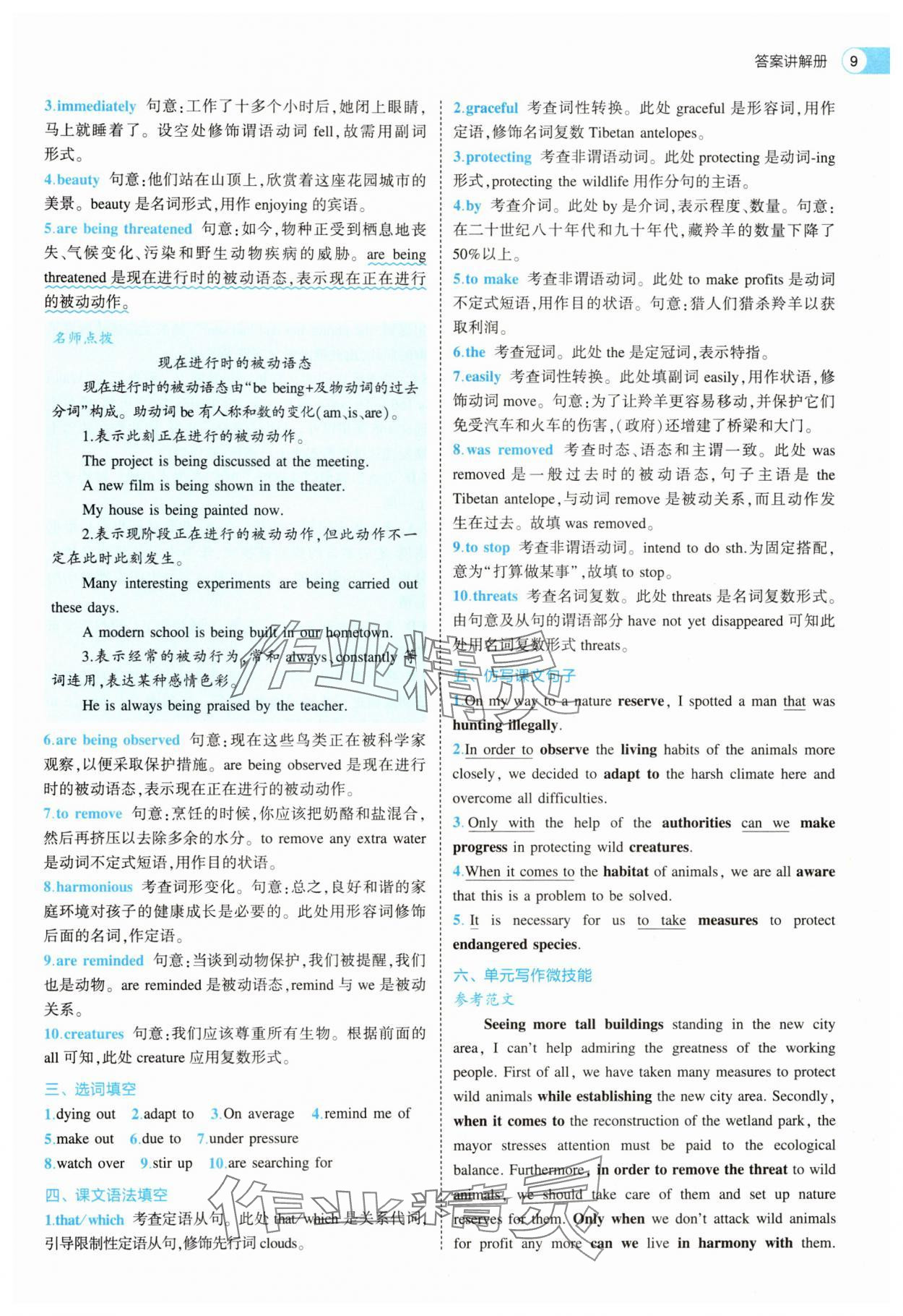 2025年53全优卷高一英语必修第二册人教版 第9页