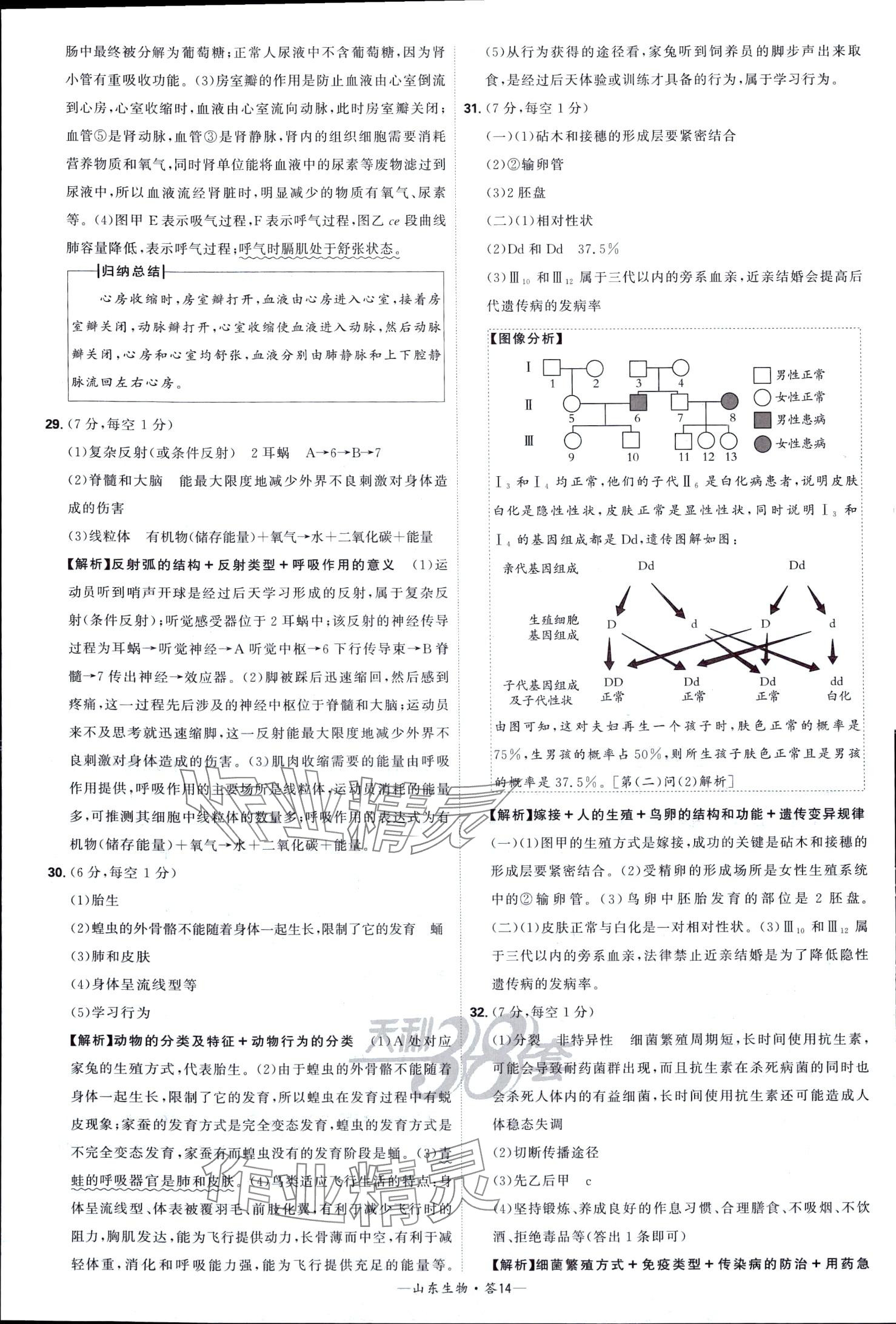 2024年天利38套中考試題精選生物中考山東專版 第14頁(yè)