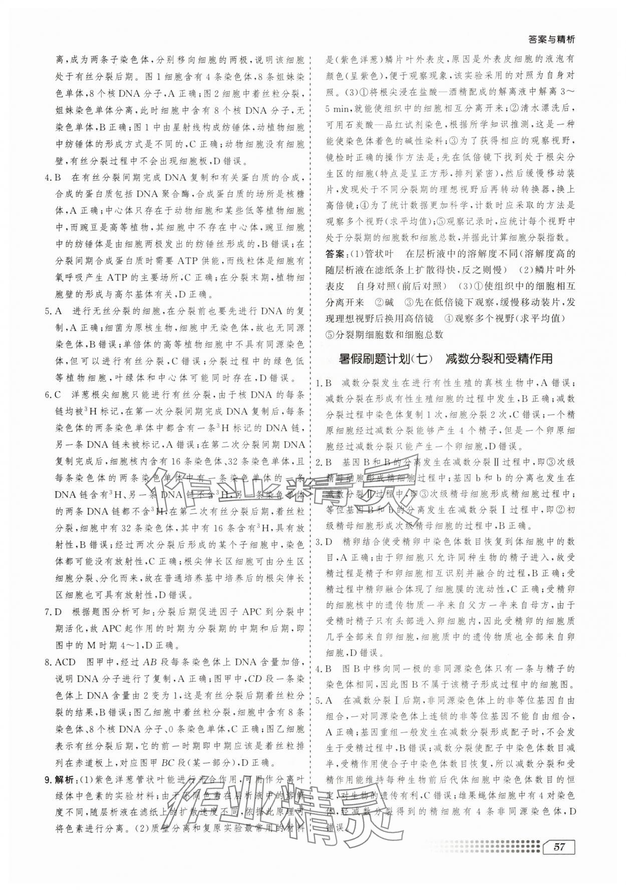 2025年暑假刷題計(jì)劃高二生物&nbsp;第5頁(yè)