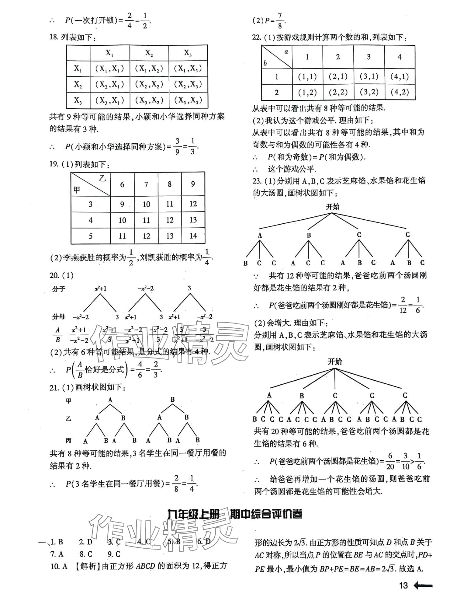 2024年節(jié)節(jié)高大象出版社九年級(jí)數(shù)學(xué)全一冊(cè)北師大版 參考答案第13頁