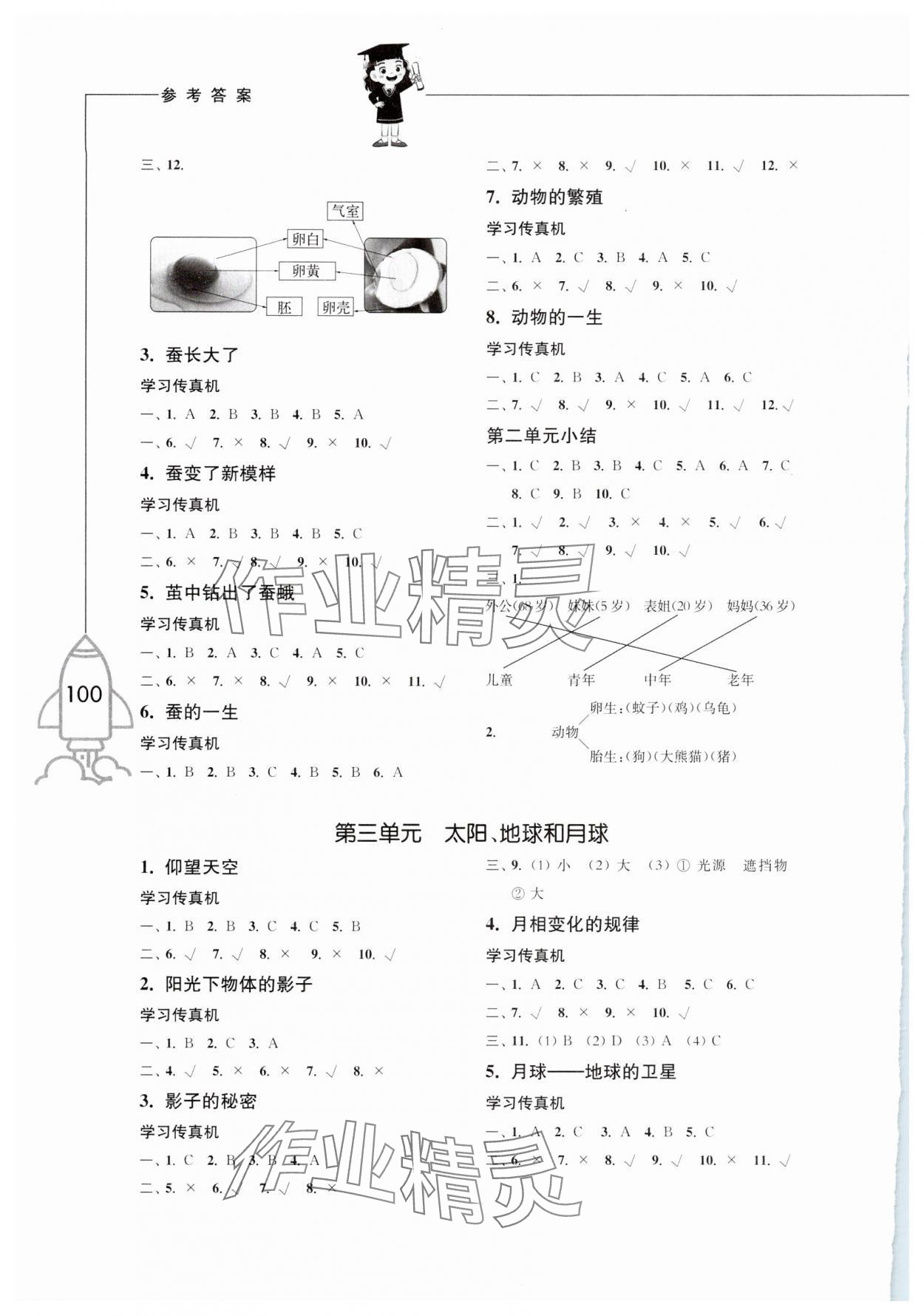 2025年小学科学习作三年级下册教科版增强版 参考答案第2页