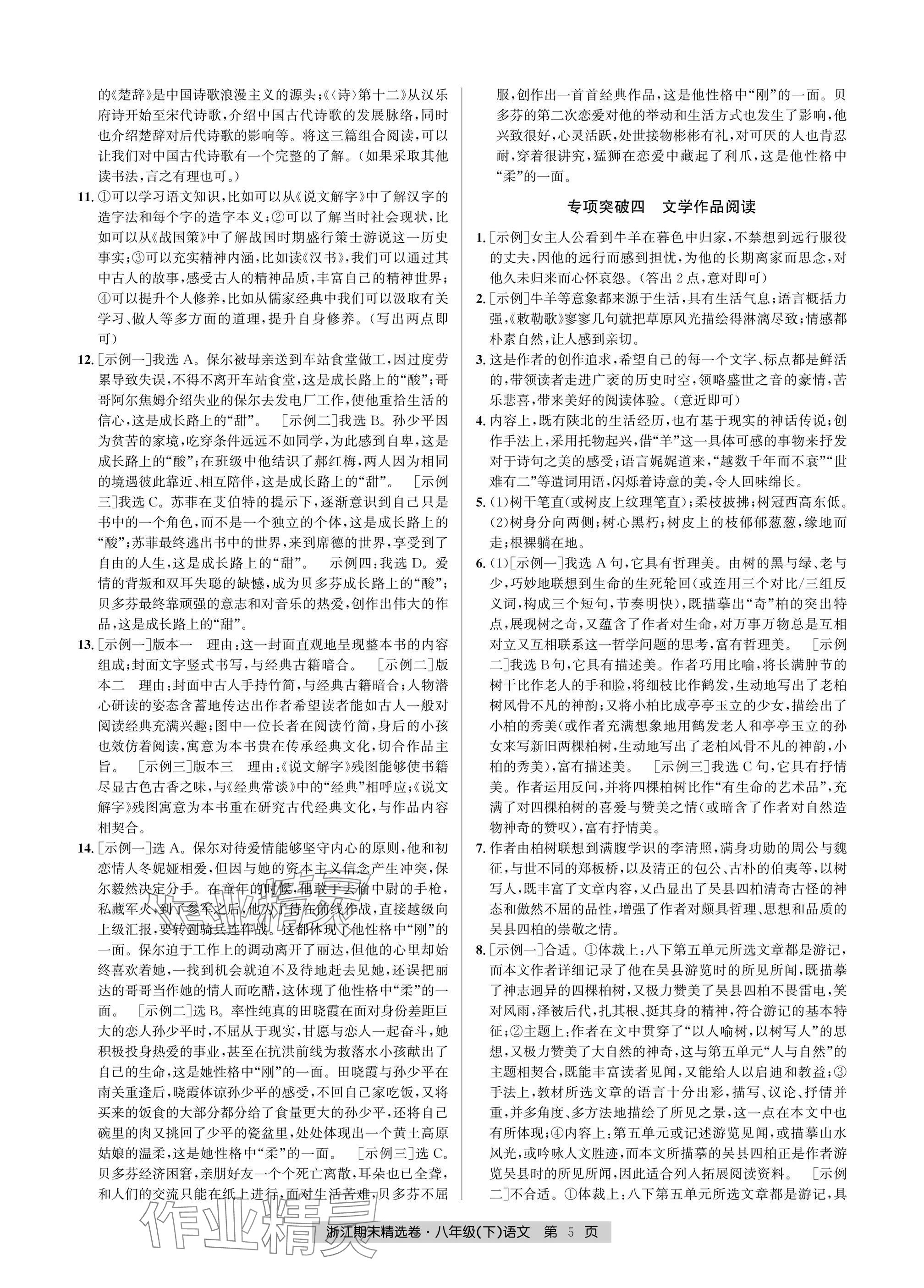 2025年浙江期末精選卷八年級(jí)語文下冊人教版 參考答案第5頁