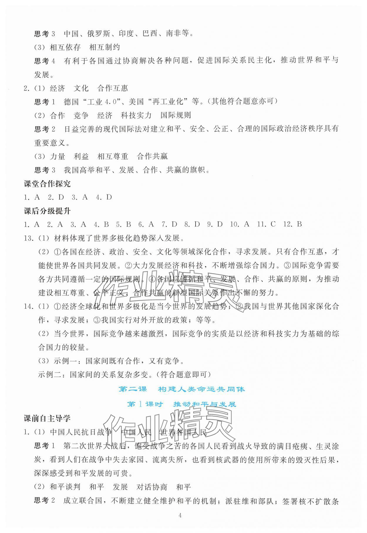 2025年同步輕松練習(xí)九年級(jí)道德與法治下冊(cè)人教版 參考答案第3頁(yè)